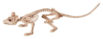 Seasons 9433798 Assortment of Animal Skeletons Halloween Decoration B