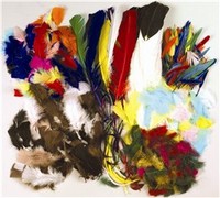 Art Supplies P4505 3 Oz. Feathers Duck- Quill Multi-Color
