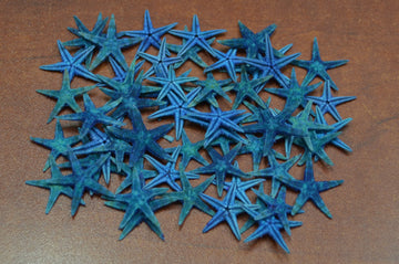 90 Pcs Small Blue Flat Starfish Craft Decoration