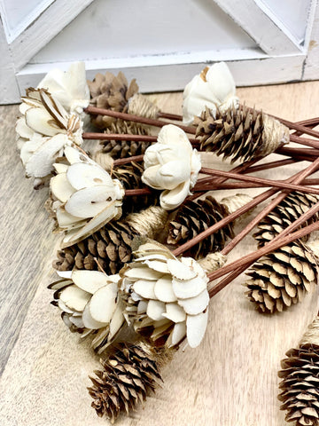 Assorted Mini Sola Wood Flower, 9” Rattan Wood Reed Diffuser