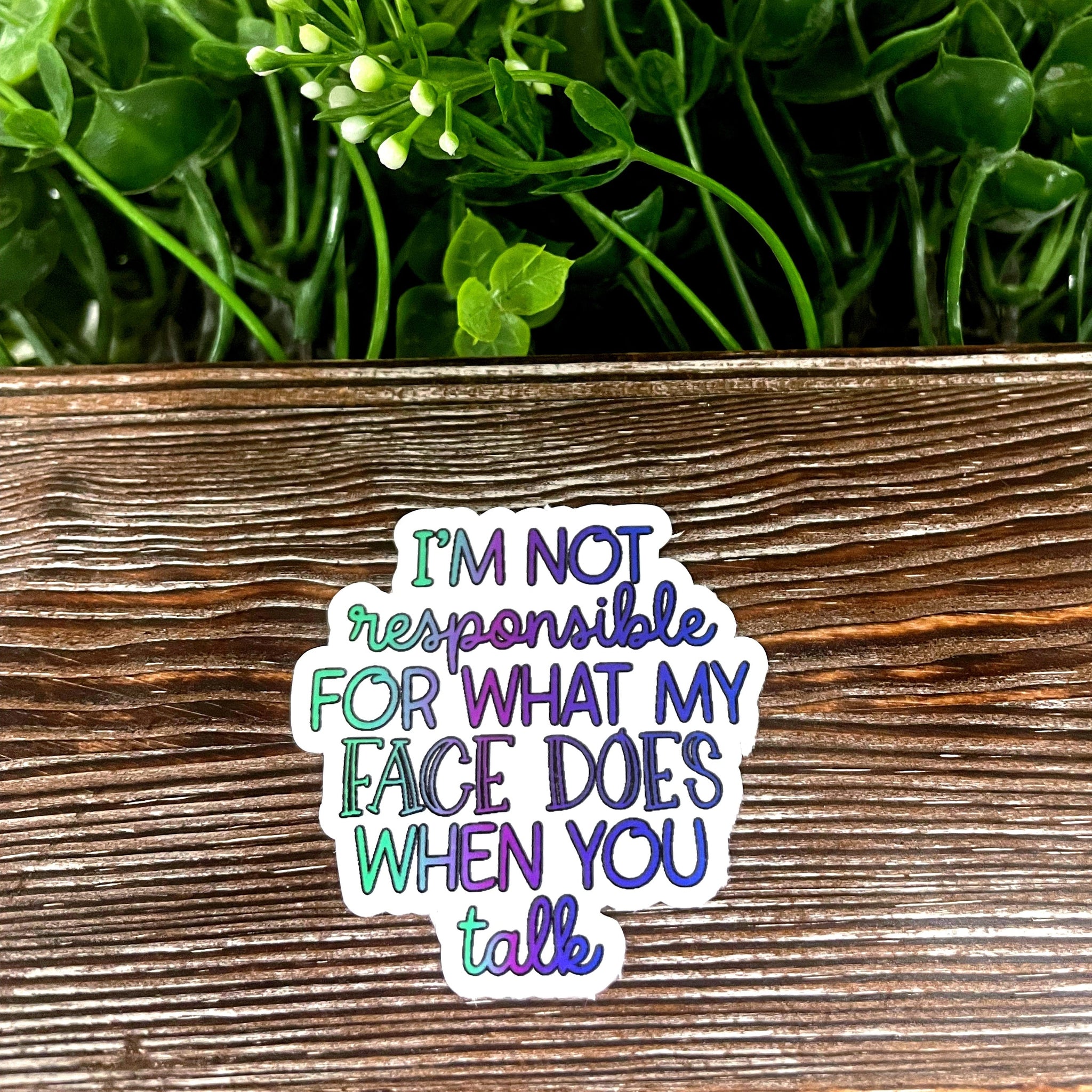 Not Responsible For My Face, Snarky Quote Sticker, Graphic Art