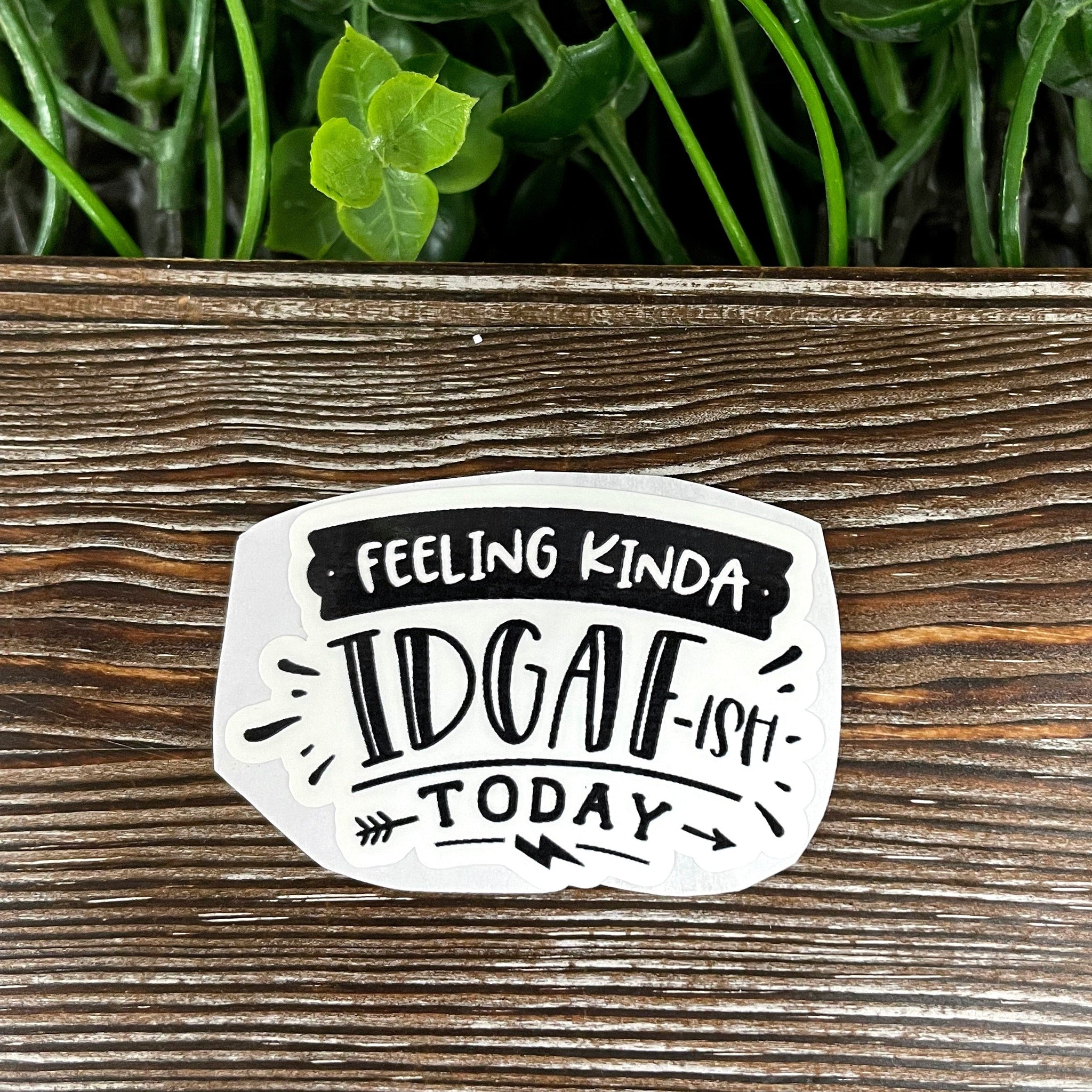 Feeling Kinda IDGAF ish Today, Snarky Sarcasm Quote, Die Cut Sticker,