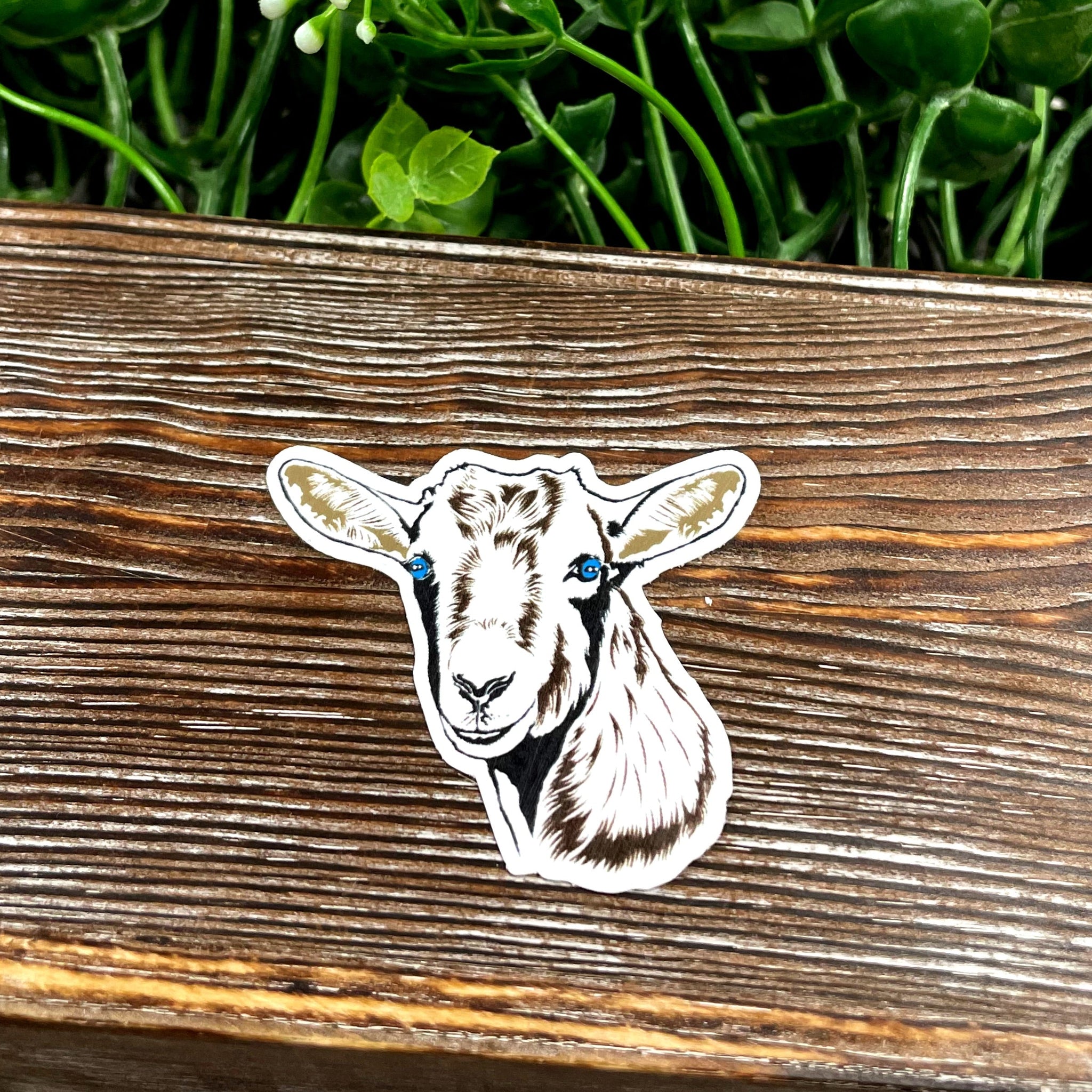 Goat Face Sticker, Graphic Art Sticker, Vinyl, Nigerian Dwarf Mini