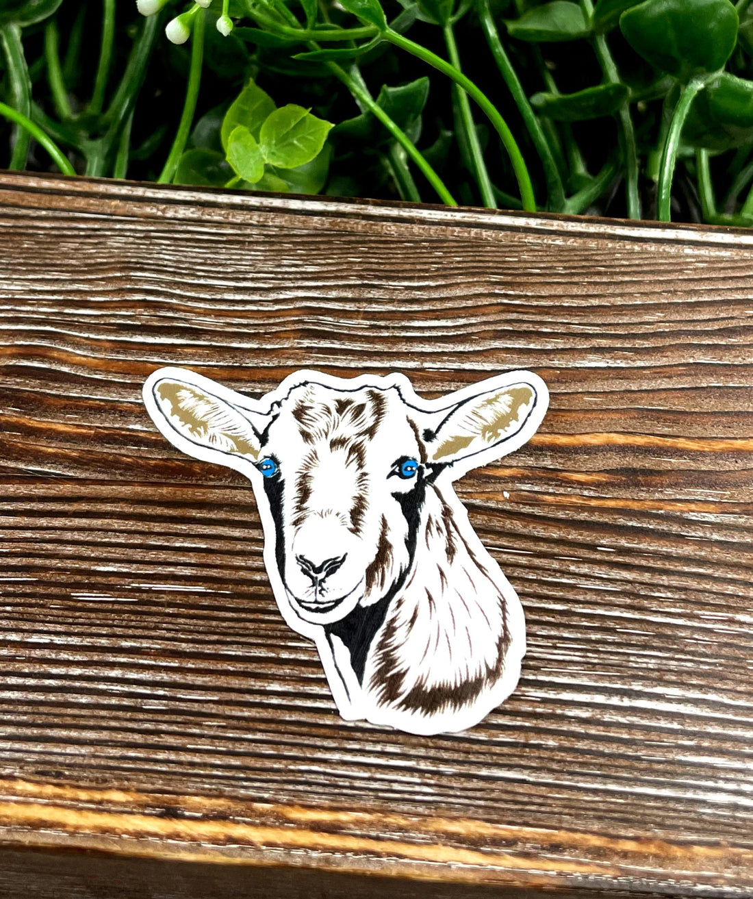 Goat Face Sticker, Graphic Art Sticker, Vinyl, Nigerian Dwarf Mini