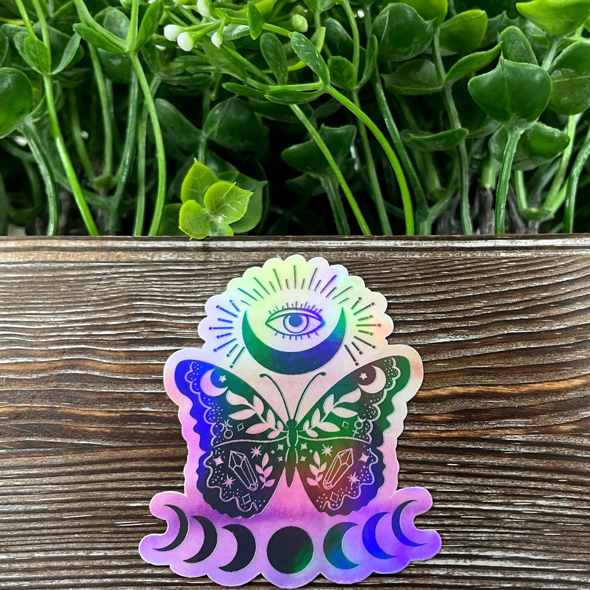 Butterfly Moon Phases, Die Cut Sticker, Graphic Art Sticker, Vinyl, ,