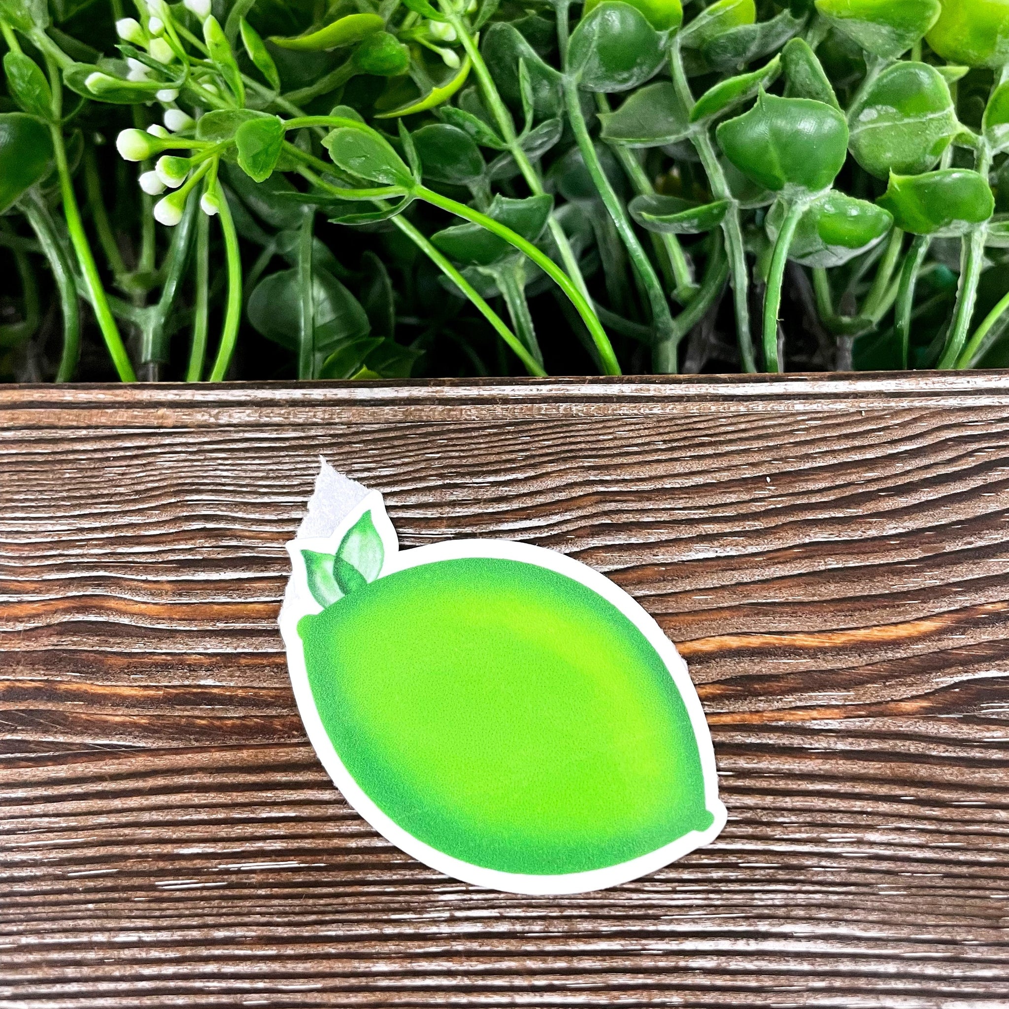 Green Lime, Die Cut Sticker, Graphic Art Vinyl, , Boho Fun |Sticker or