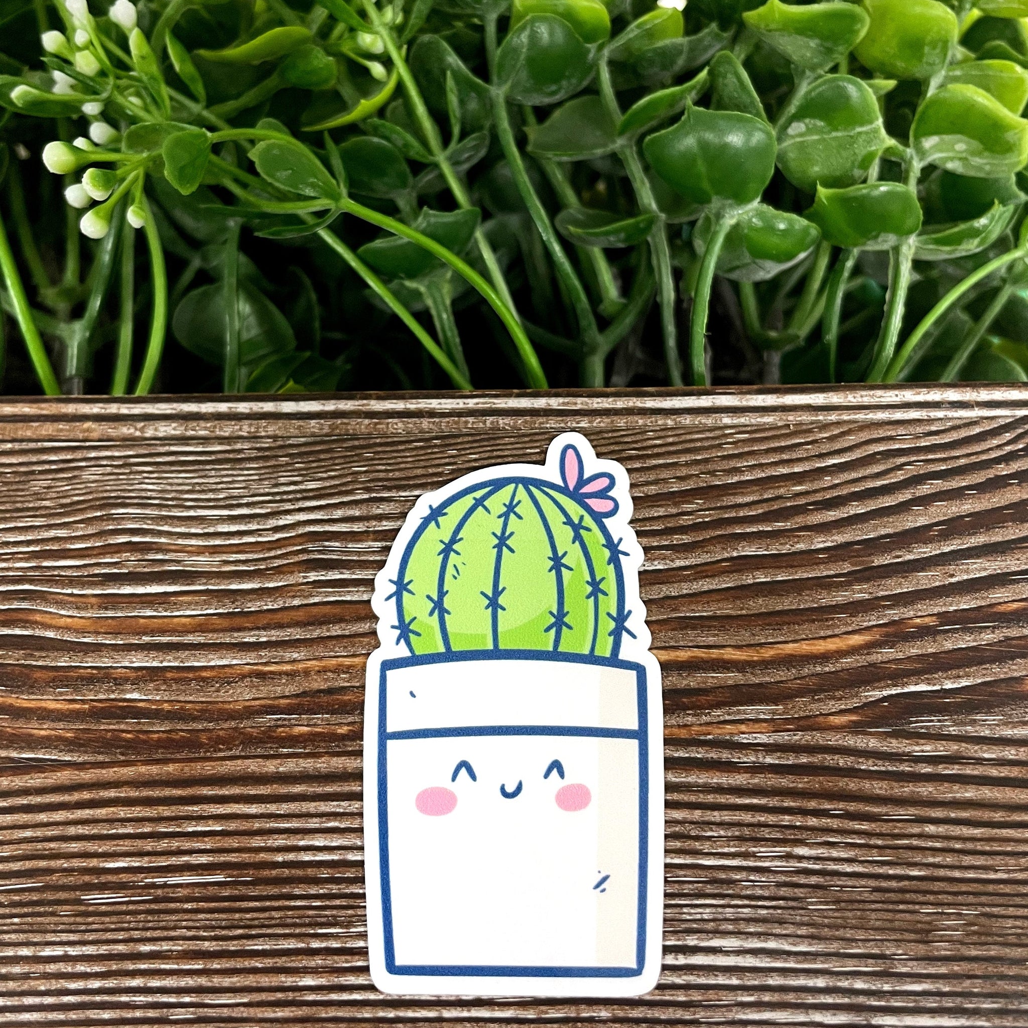 Cute Kawaii Succulent Plant Sticker |Sticker or Magnet
