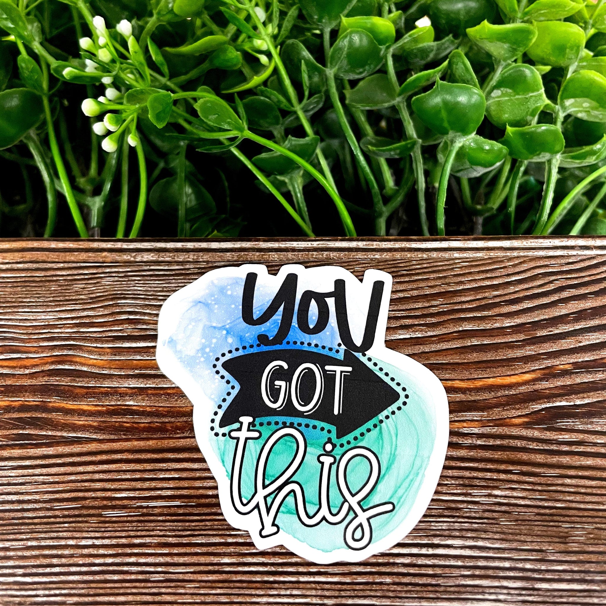 You Got This Sticker |Sticker or Magnet