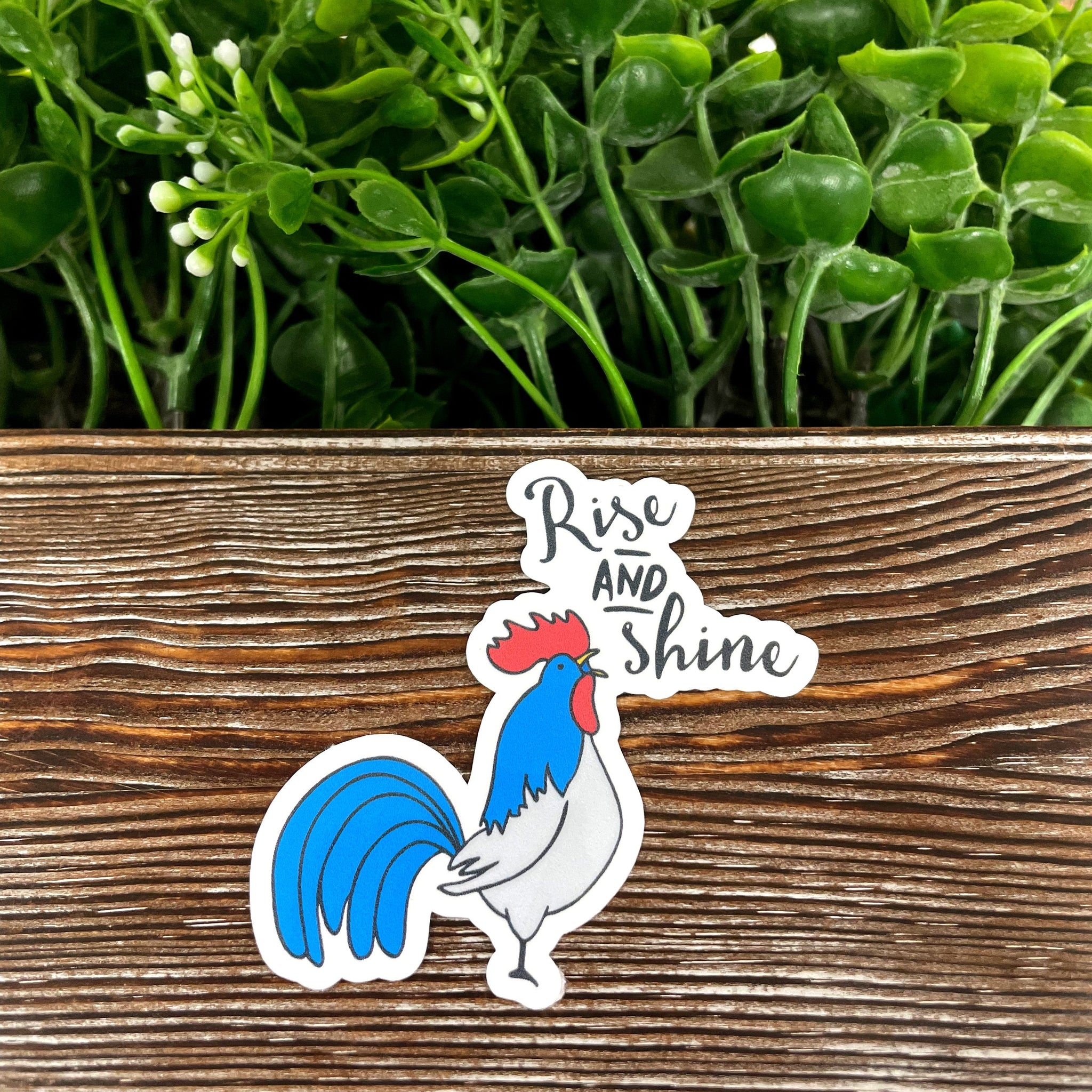 Rise and Shine Rooster, Die Cut Vinyl Sticker, , Boho Fun, Water