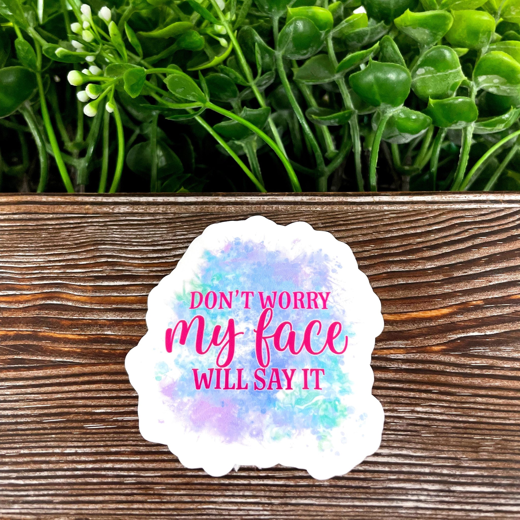 Don't Worry My Face will Say it Sticker |Sticker or Magnet
