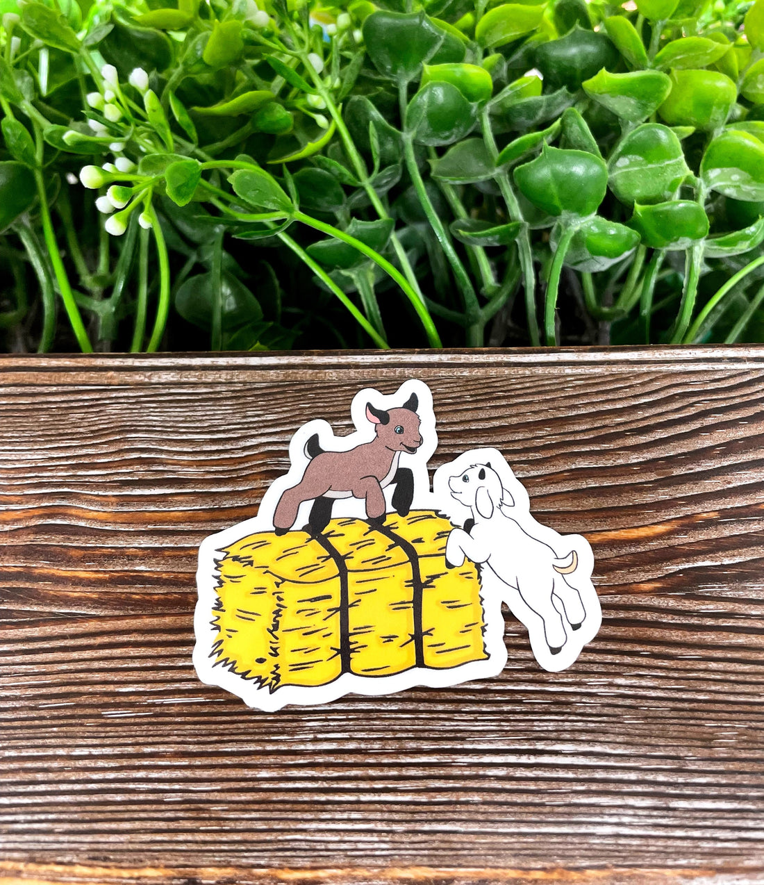 Baby Goats Sticker, Playing on Hay Bale, Die Cut Vinyl Sticker