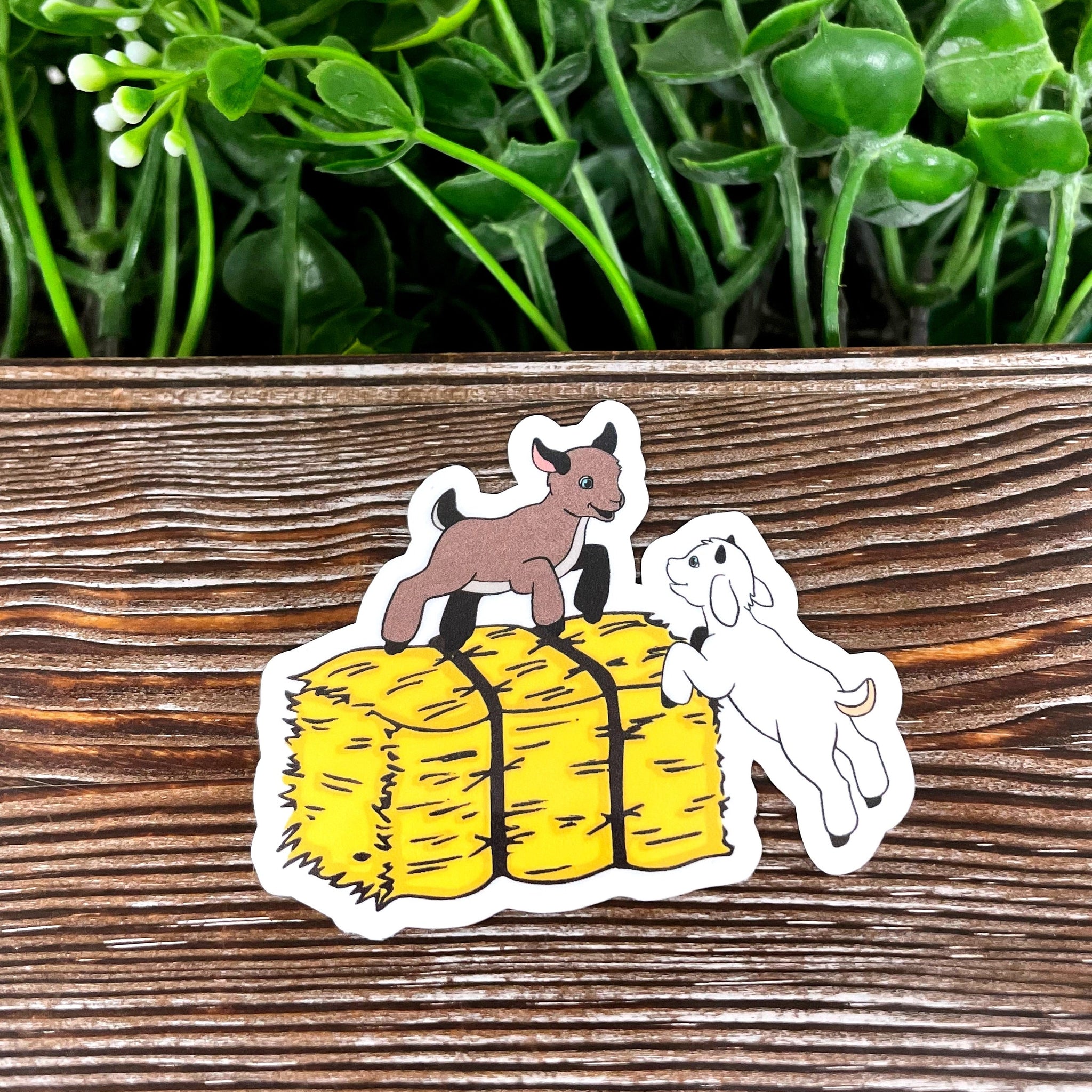 Baby Goats Sticker, Playing on Hay Bale, Die Cut Vinyl Sticker