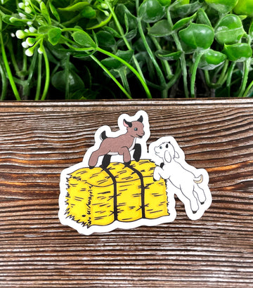 Baby Goats Sticker, Playing on Hay Bale, Die Cut Vinyl Sticker