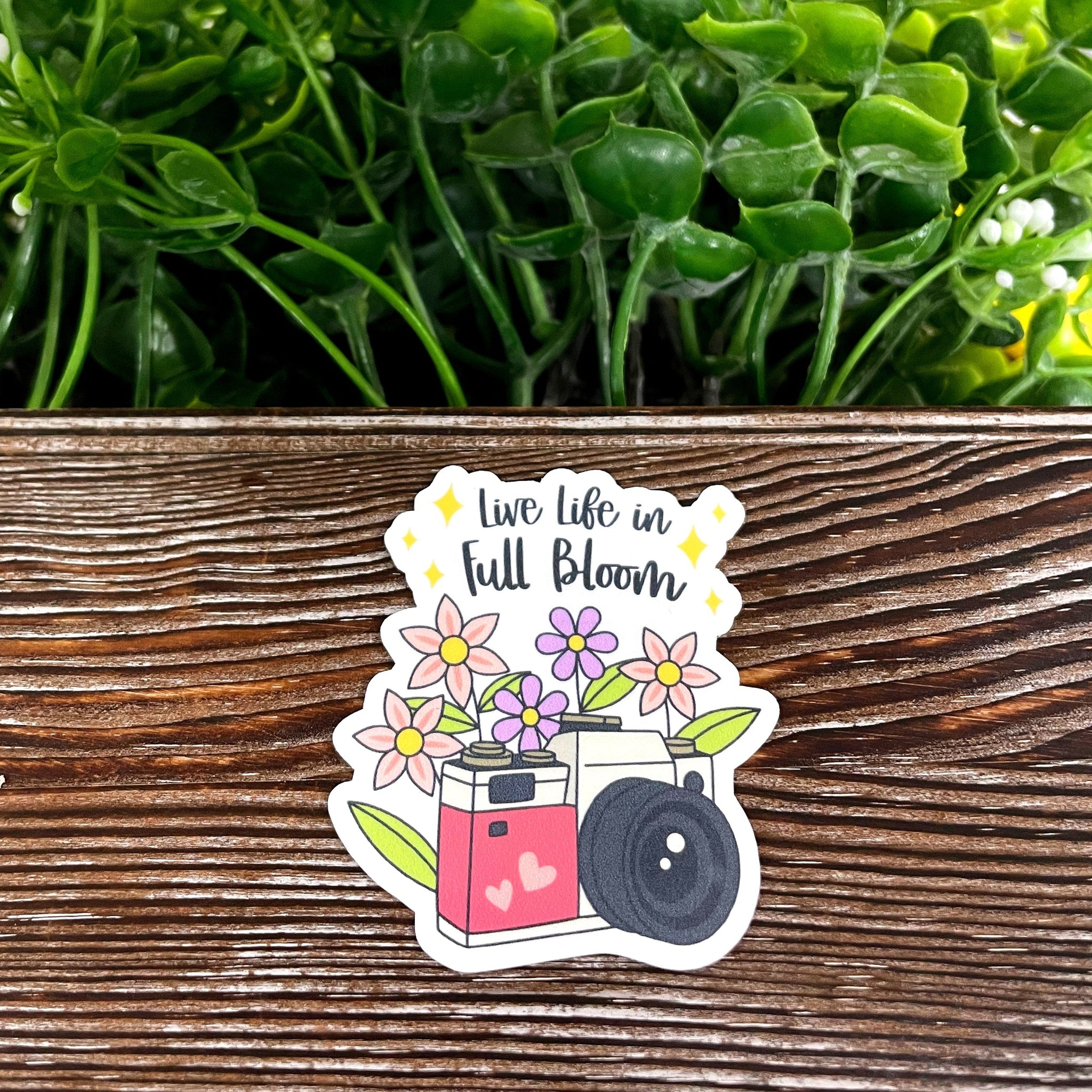 Live Life in Full Bloom, Die Cut Vinyl Sticker, , Boho Fun, Water