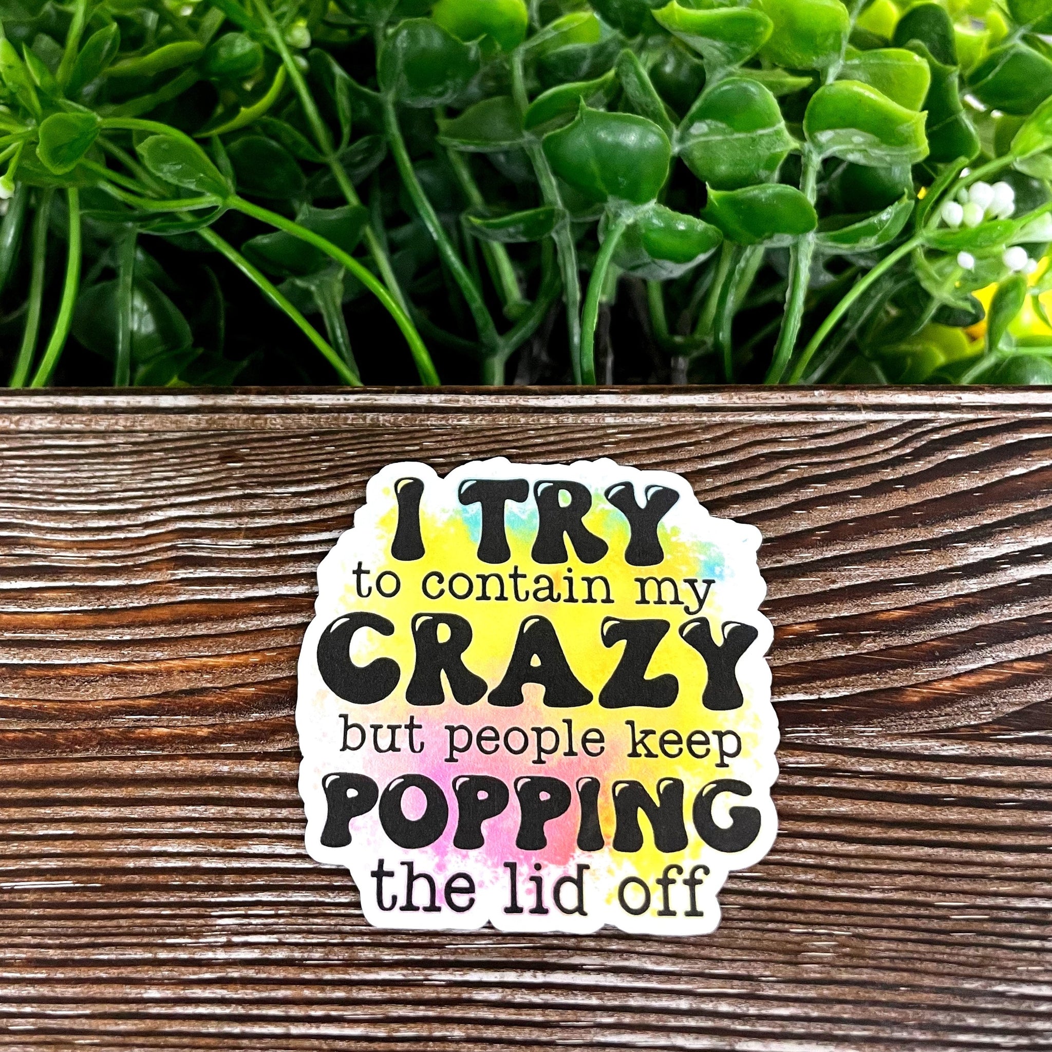 Snarky Sarcasm Quote, Die Cut Vinyl Sticker, , Boho Fun, Water