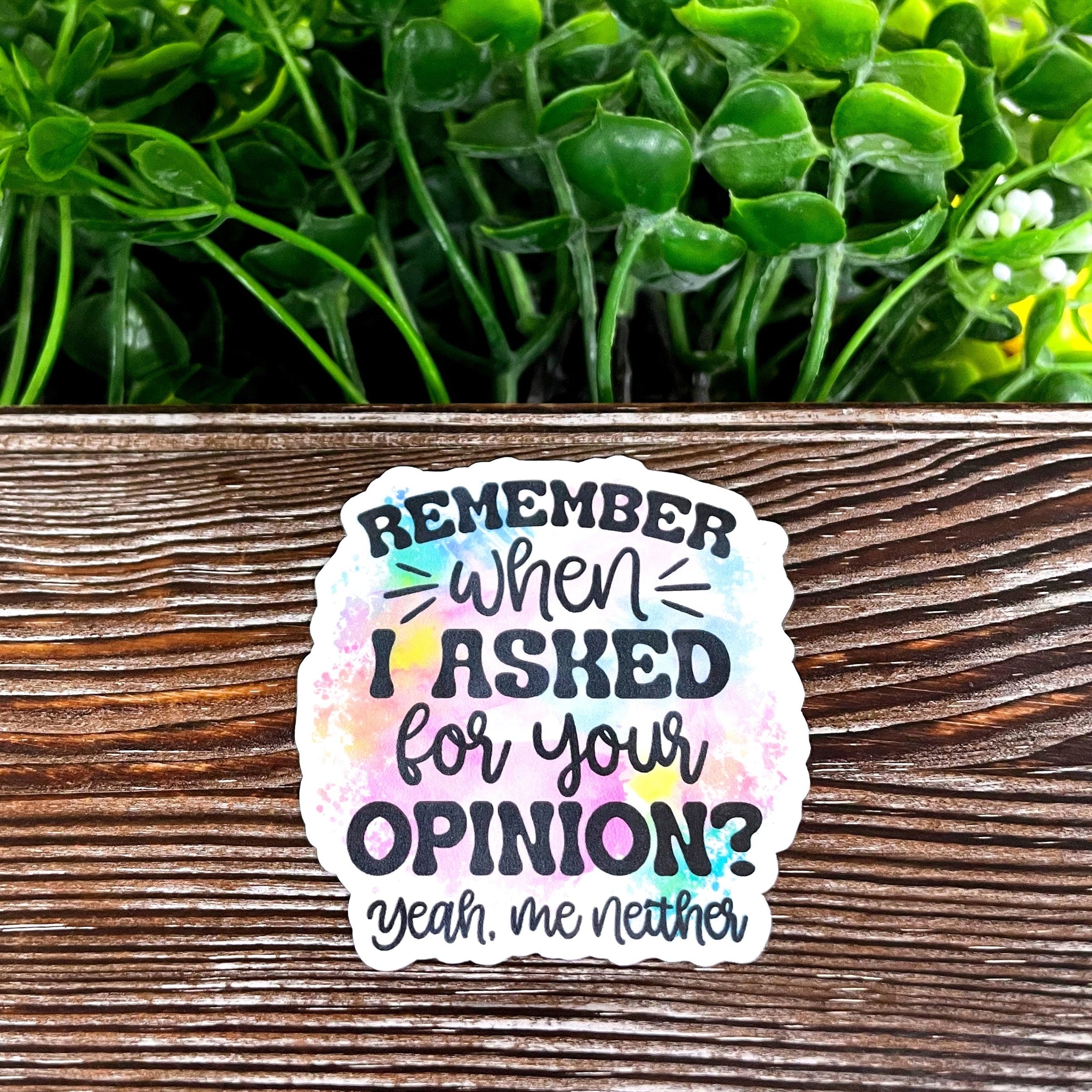 Snarky Sarcasm Quote, Die Cut Vinyl Sticker, , Boho Fun, Water
