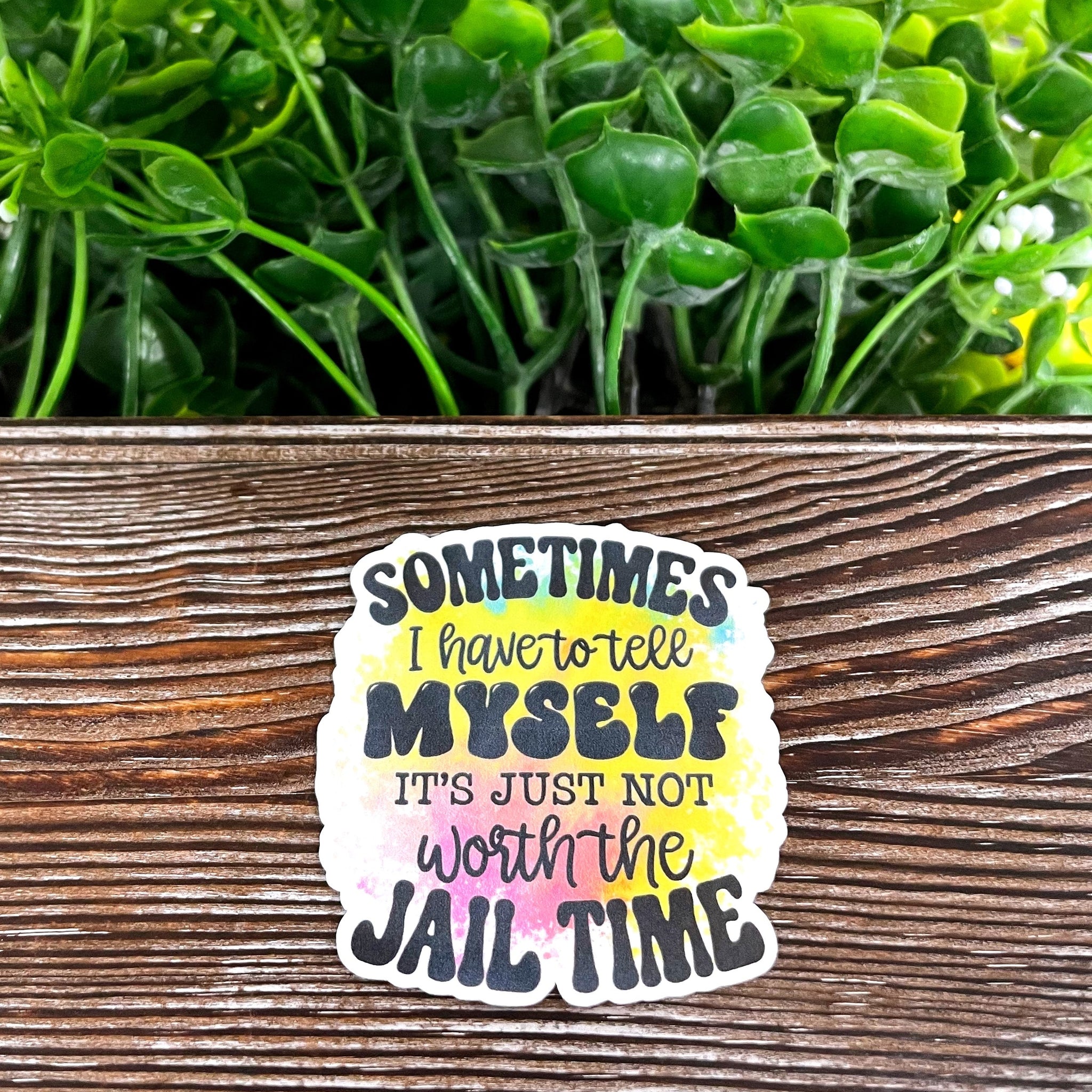 Not Worth the Jail Time, Die Cut Vinyl Sticker, Boho Fun, Water