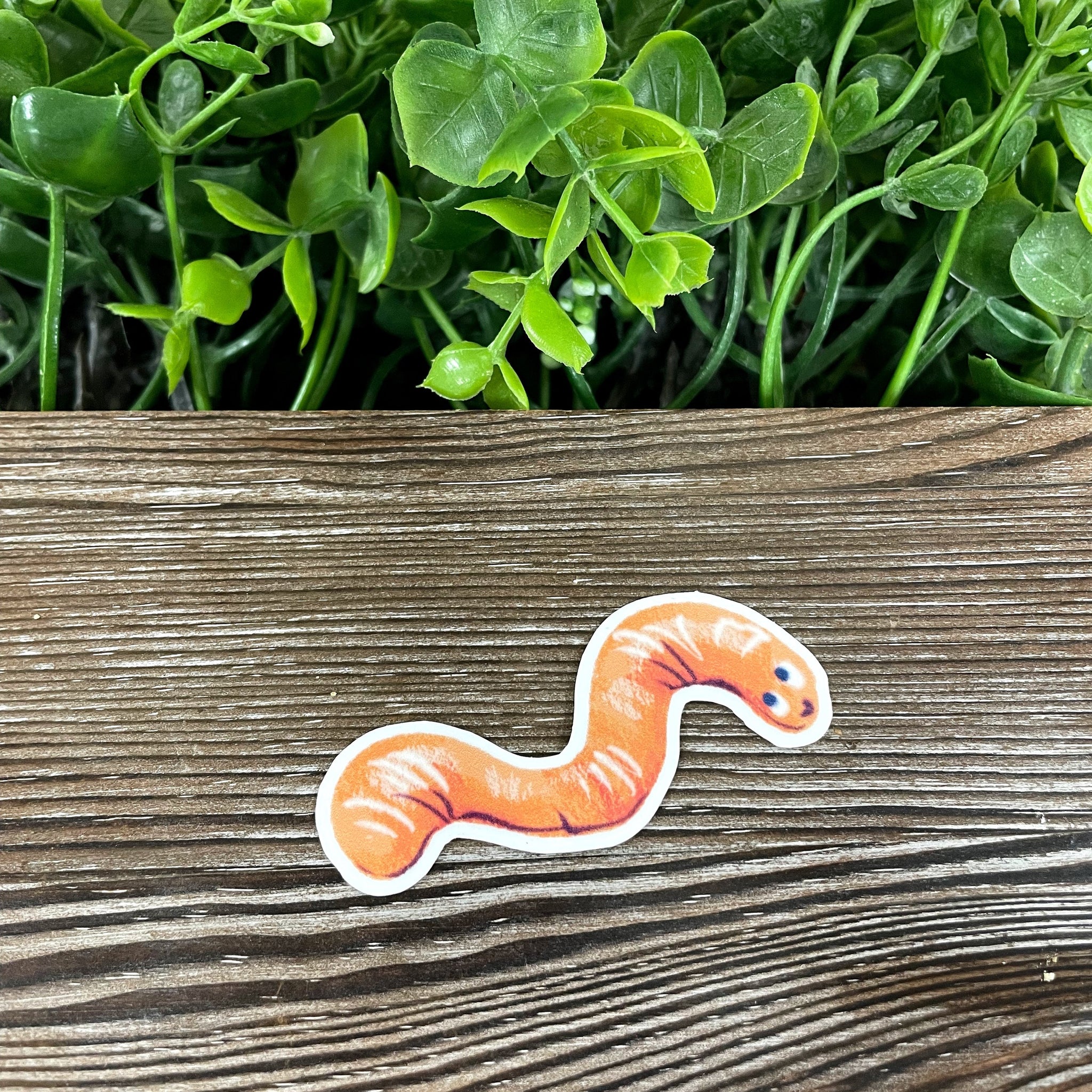 Watercolor Drawn Worm, Die Cut Vinyl Sticker, Boho Fun, Water