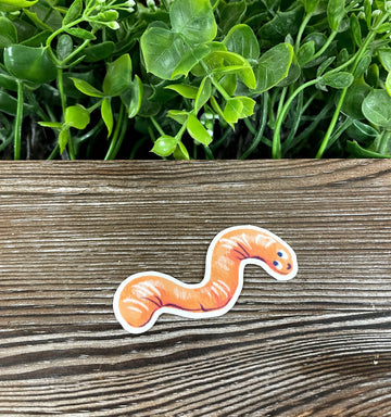 Watercolor Drawn Worm, Die Cut Vinyl Sticker, Boho Fun, Water