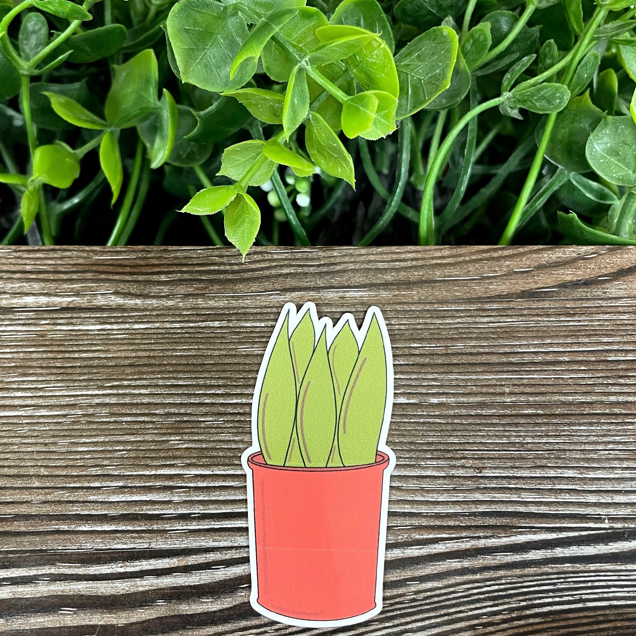 Plants in a Red Pot, Die Cut Vinyl Sticker, Boho Fun, Water Resistant,