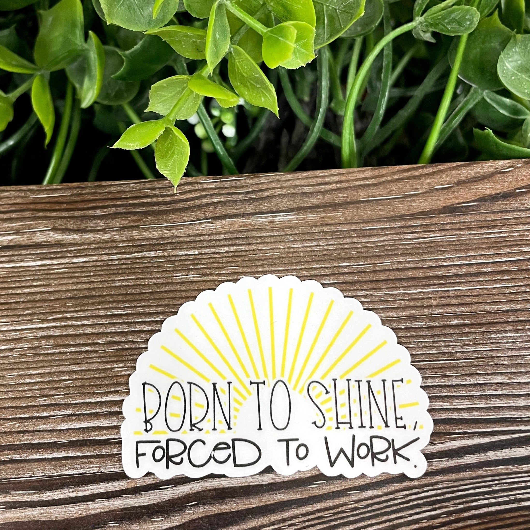 Born to Shine Forced to Work, Die Cut Vinyl Sticker, Boho Fun, Water