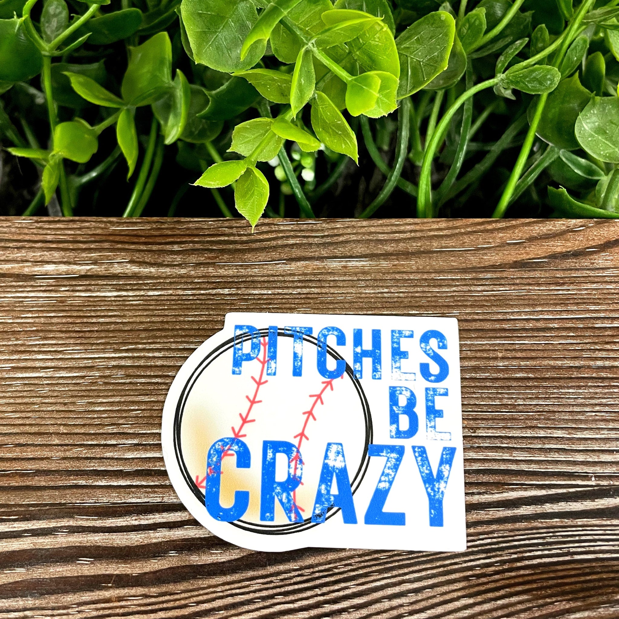 Pitches be Crazy, Die Cut Vinyl Sticker, Boho Fun, Water Resistant,