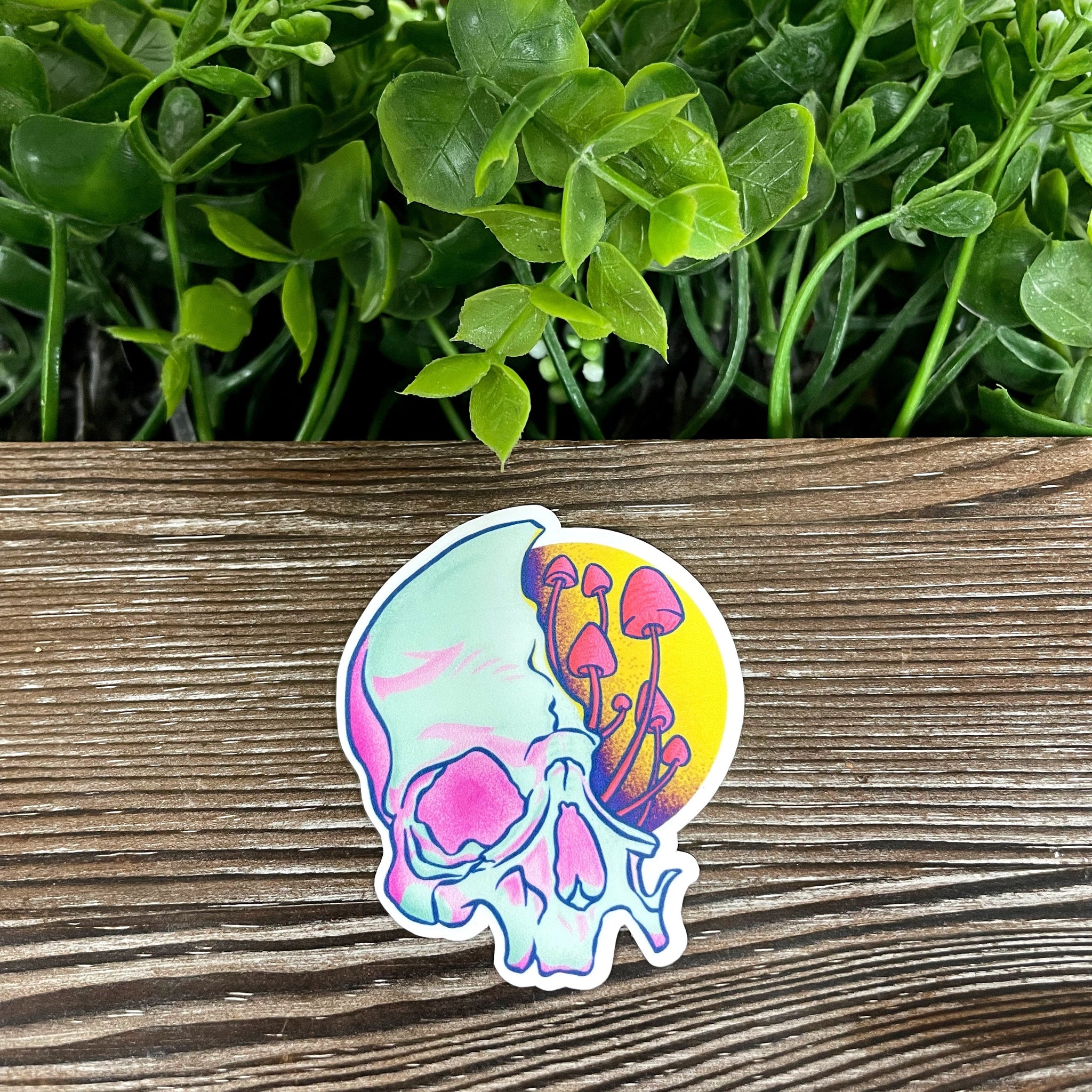 Partial Skull w/ Mushrooms, Die Cut Vinyl Sticker, Boho Fun, Water