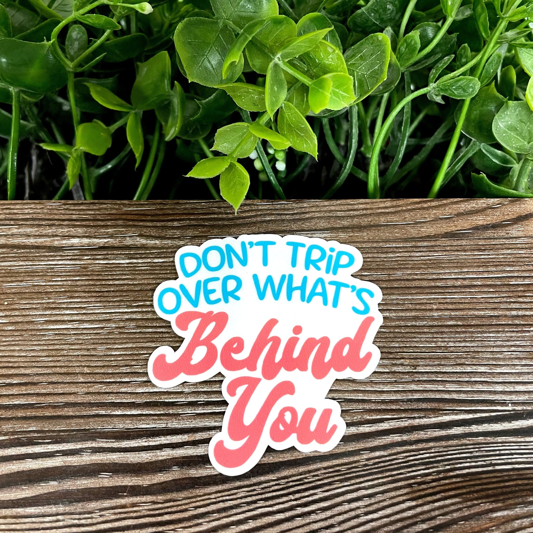 Don't Trip Over What's Behind You, Die Cut Vinyl Sticker, Boho Fun,