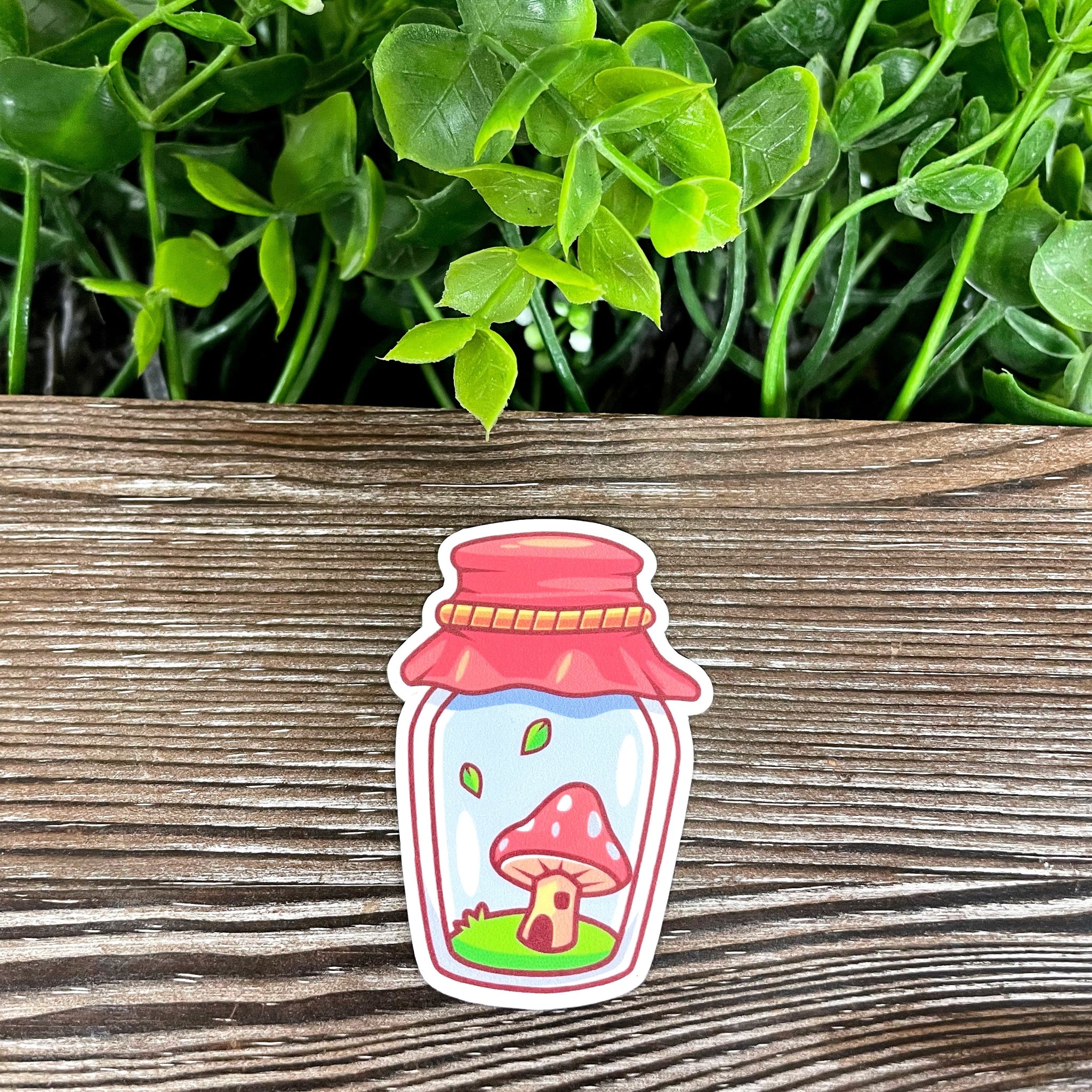 Mushroom in a Mason Jar, Die Cut Vinyl Sticker, Boho Fun, Water