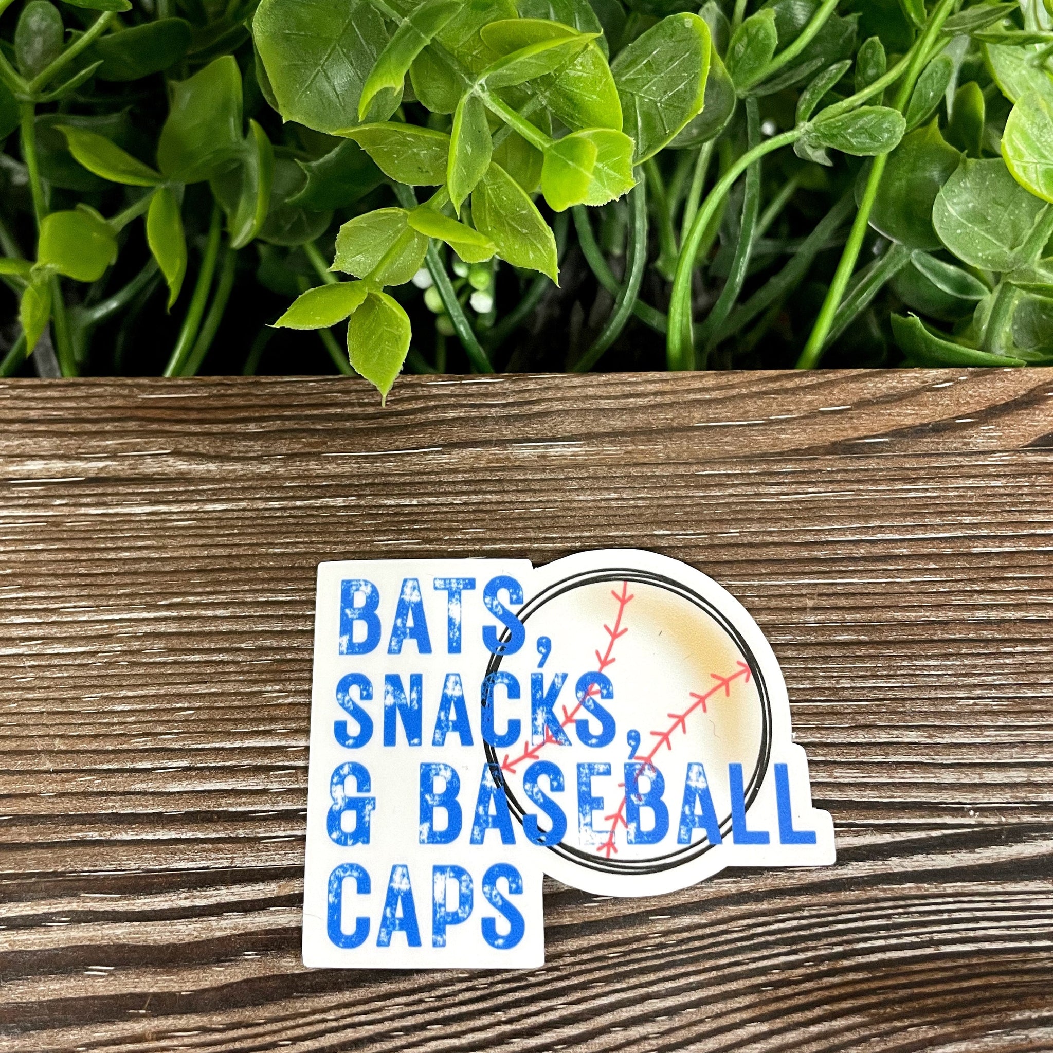 Bats Snack and Baseball Caps, Die Cut Vinyl Sticker, Boho Fun, Water