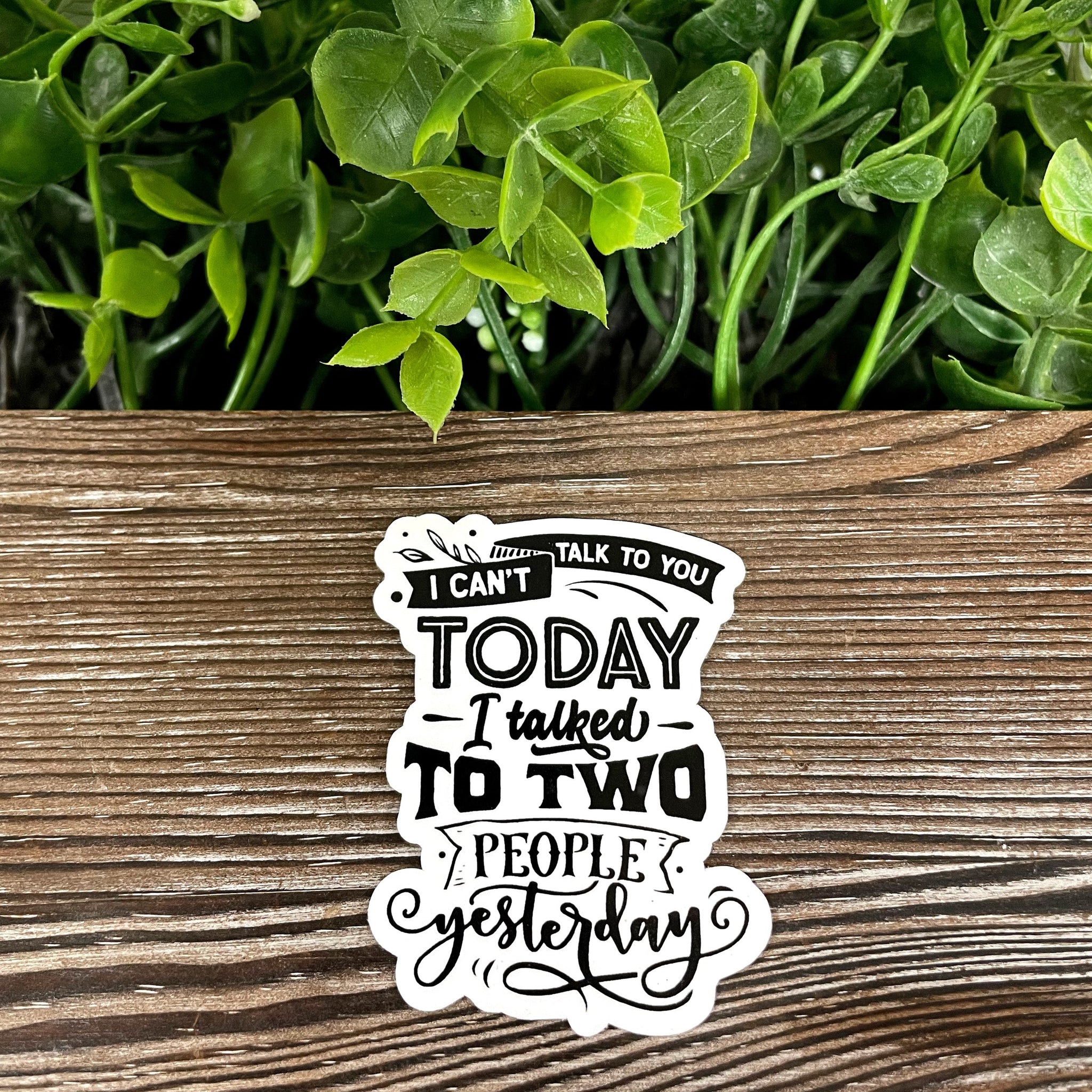 Introvert Sticker, Die Cut Vinyl Sticker, Boho Fun, Water Resistant,