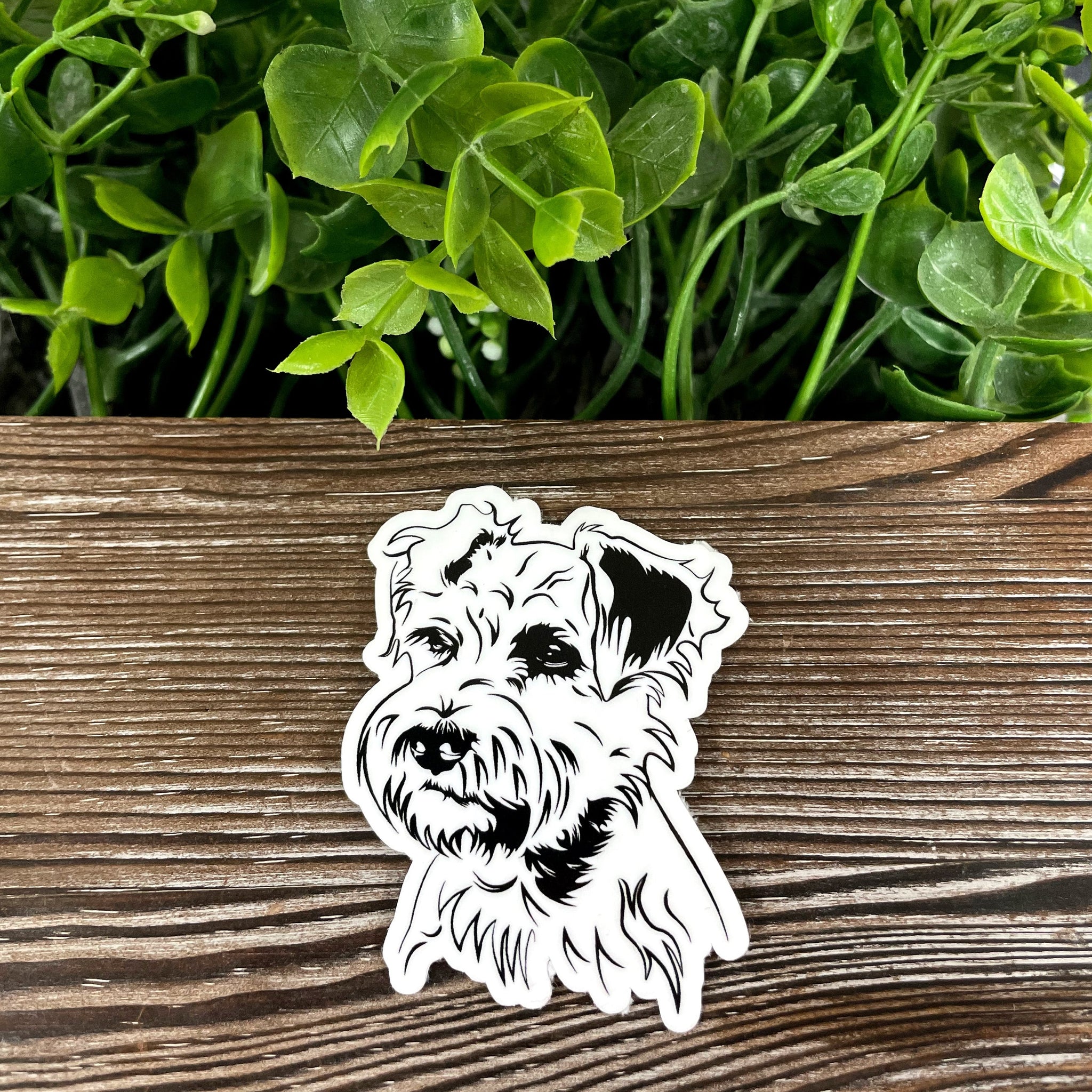 Miniature Schnauzer Sticker |Sticker or Magnet