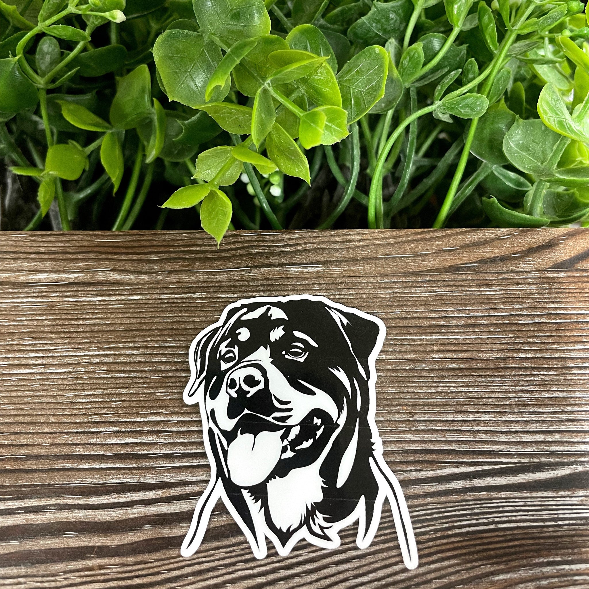 Rottweiler Sticker |Sticker or Magnet
