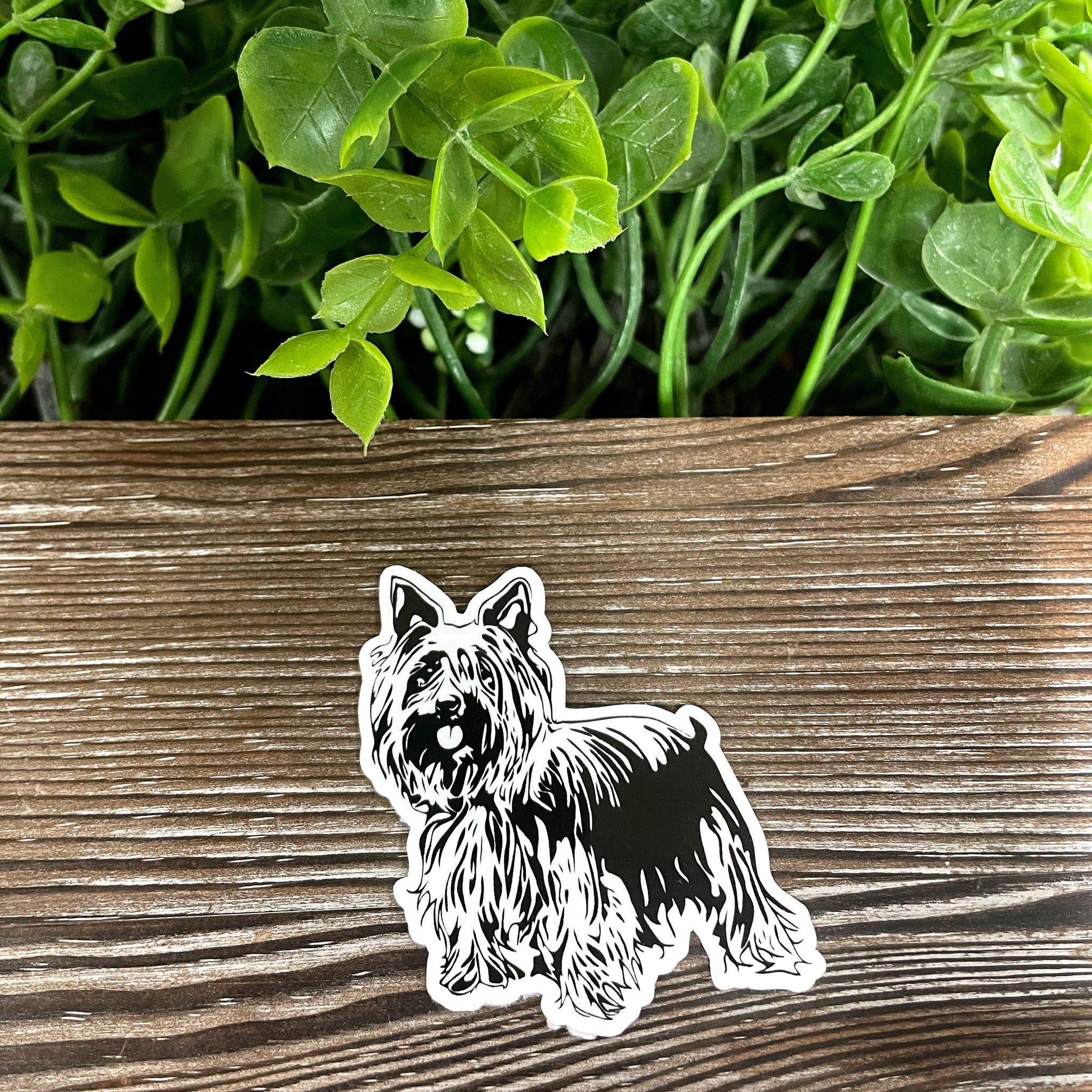 Yorkshire Terrier Sticker, Die Cut Vinyl Sticker, Boho Fun, Water