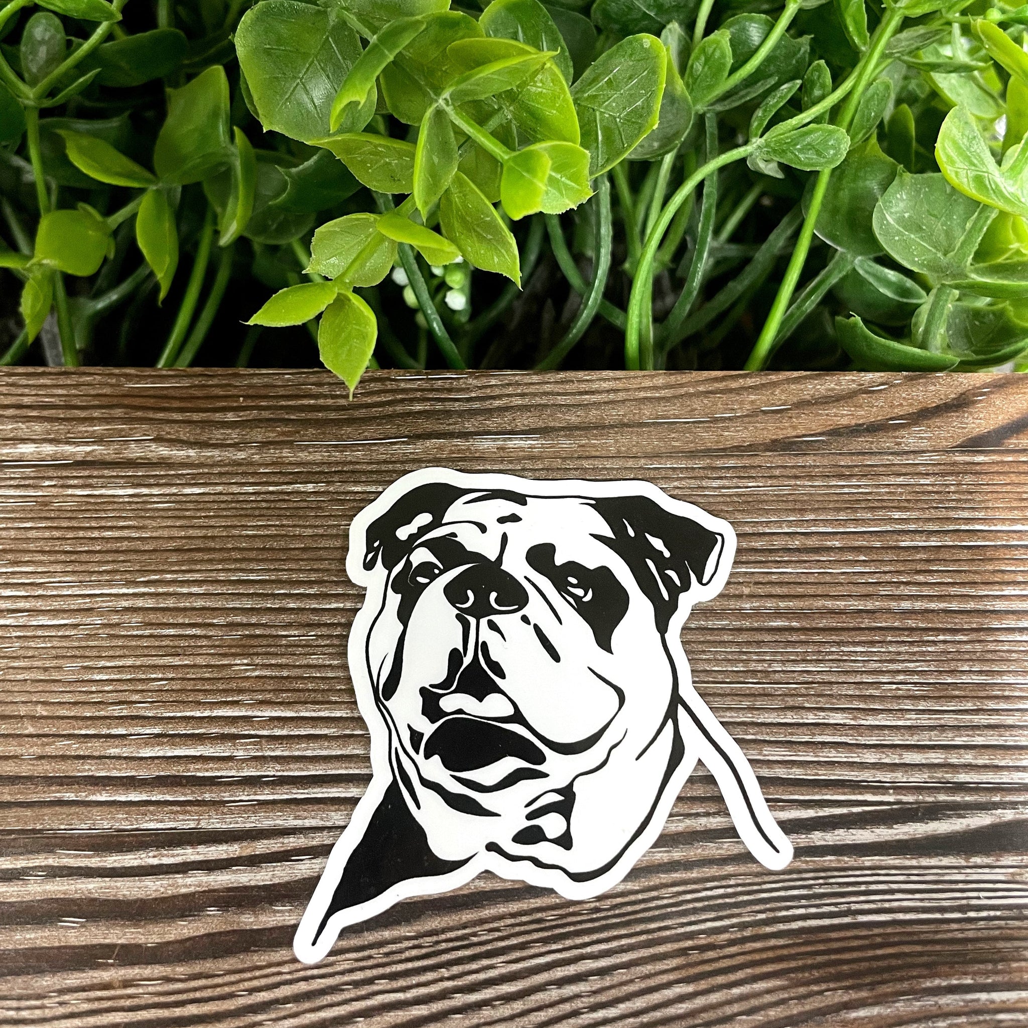 Bulldog Sticker, Black and White |Sticker or Magnet
