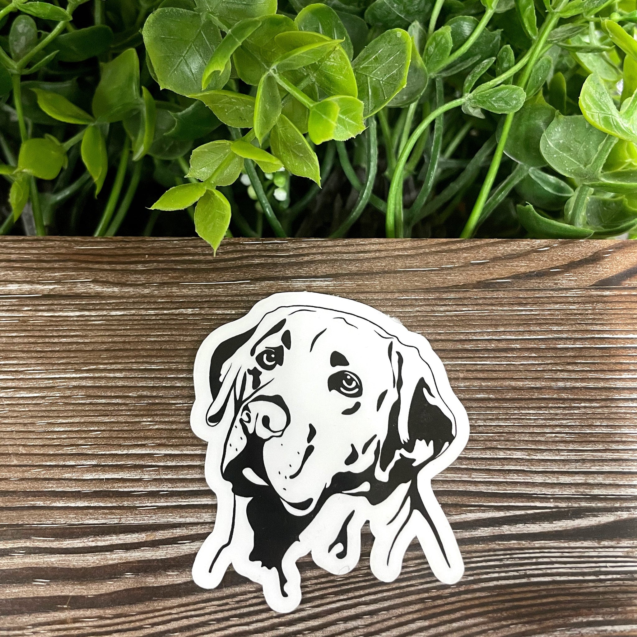 Labrador Sticker |Sticker or Magnet