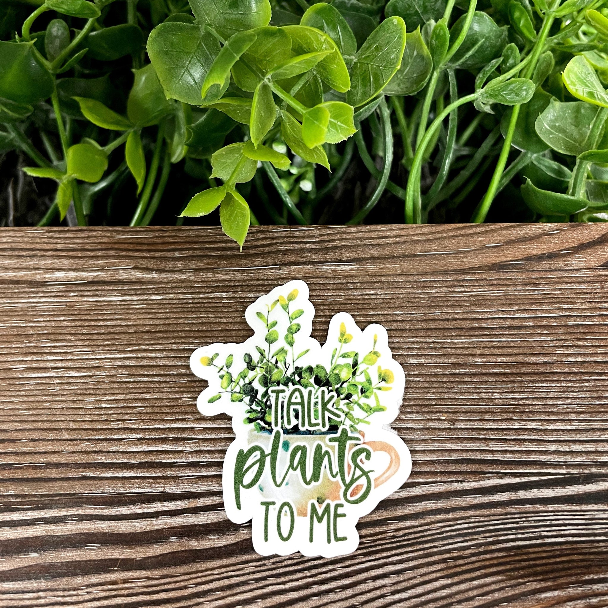 Talk Plants to Me Sticker |Sticker or Magnet
