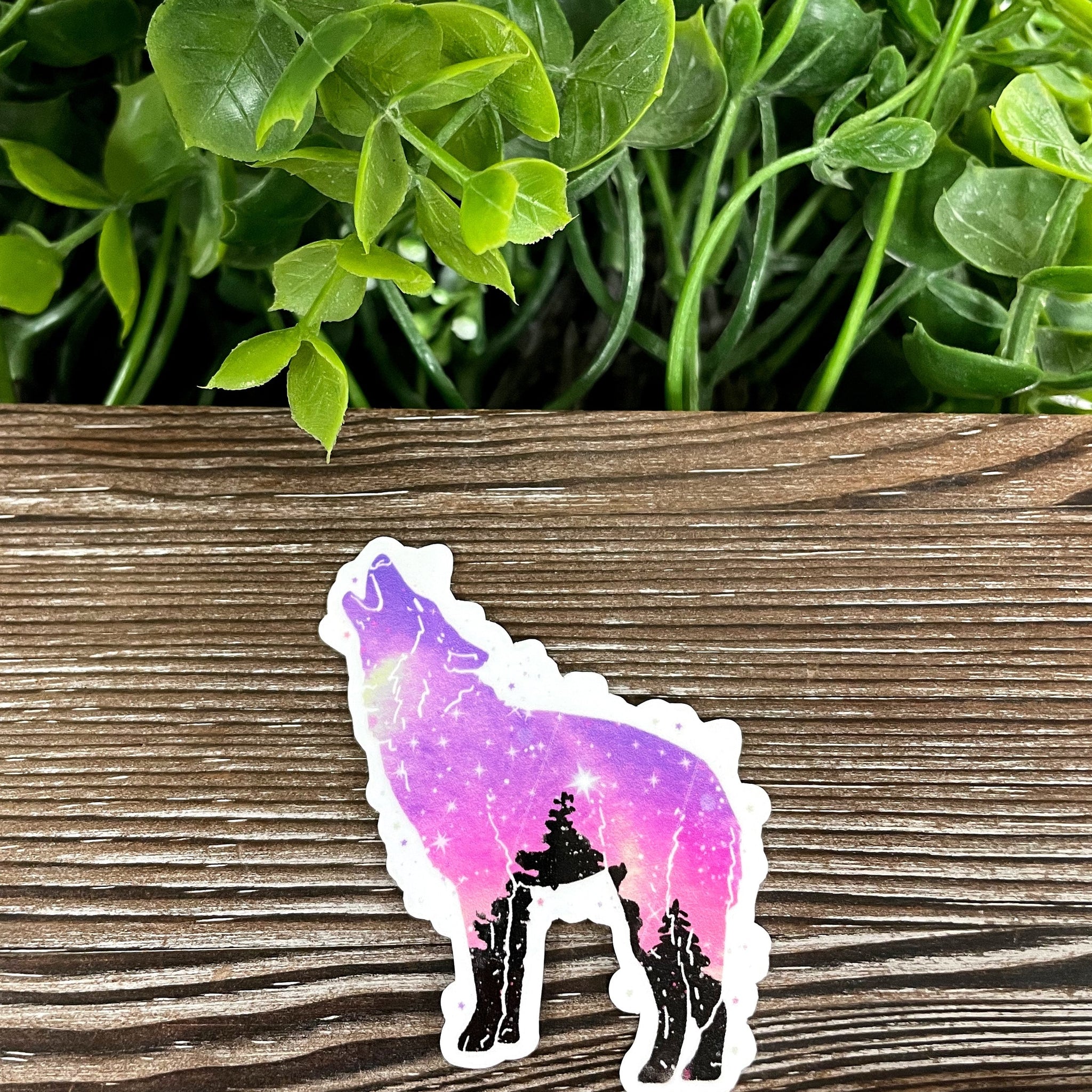 Galaxy Wolf Silhouette, Die Cut Vinyl Sticker, Boho Fun, Water