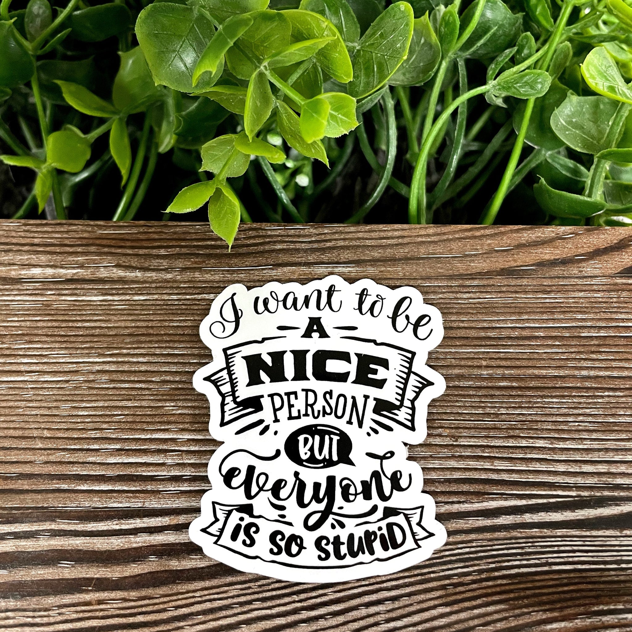 I Want to be a Nice Person but Everyone is so Stupid Sticker |Sticker