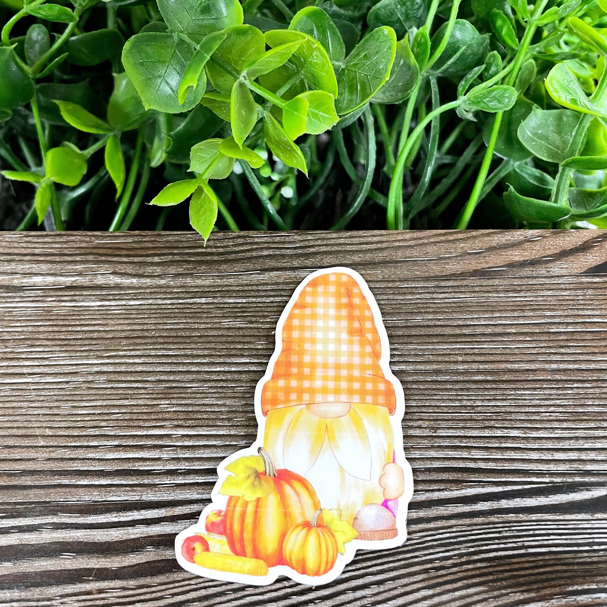 Fall Gnome w/ Pumpkins, Die Cut Vinyl Sticker, Boho Fun, Water