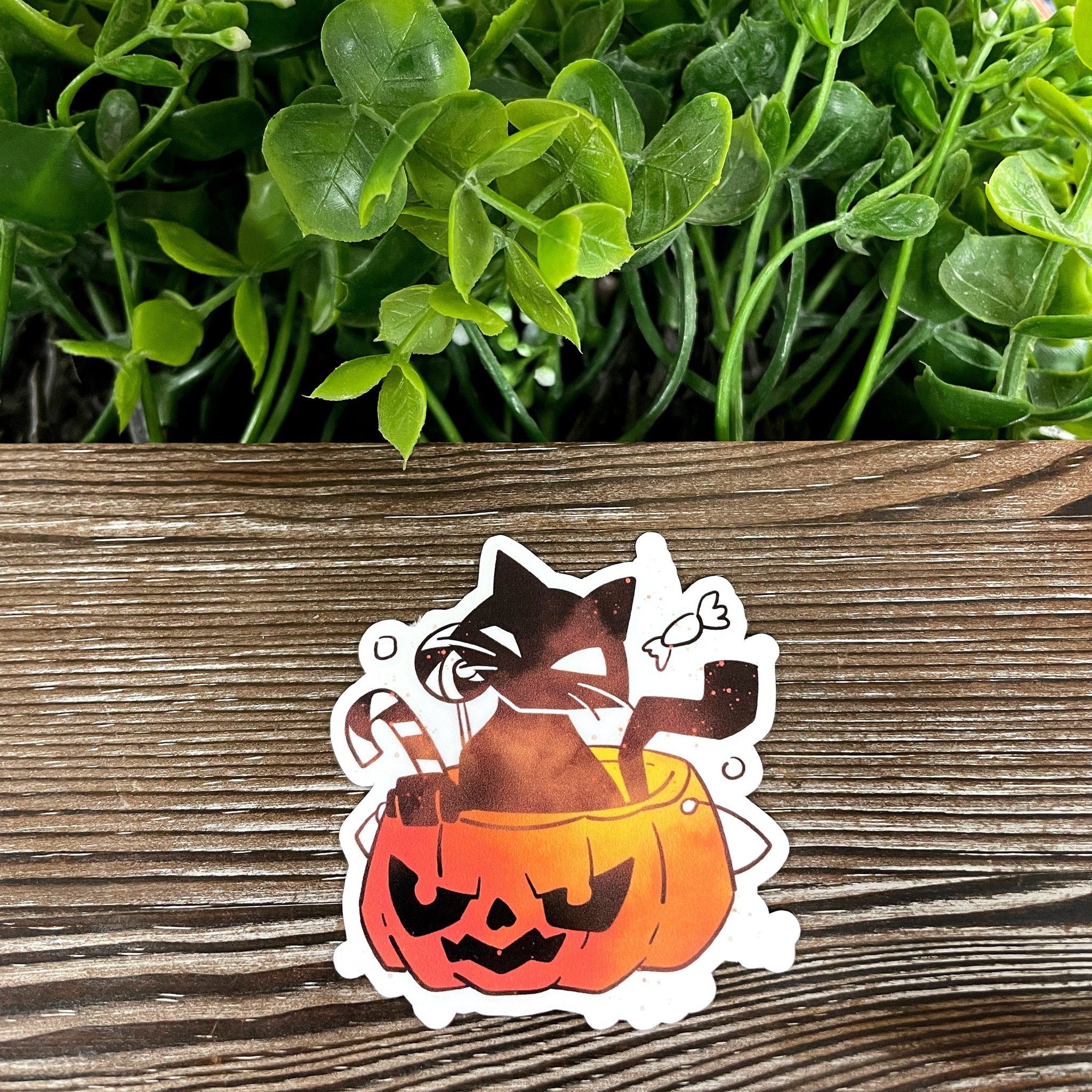 Halloween Black Cat in Pumpkin Bucket of Candy, Die Cut Vinyl Sticker,