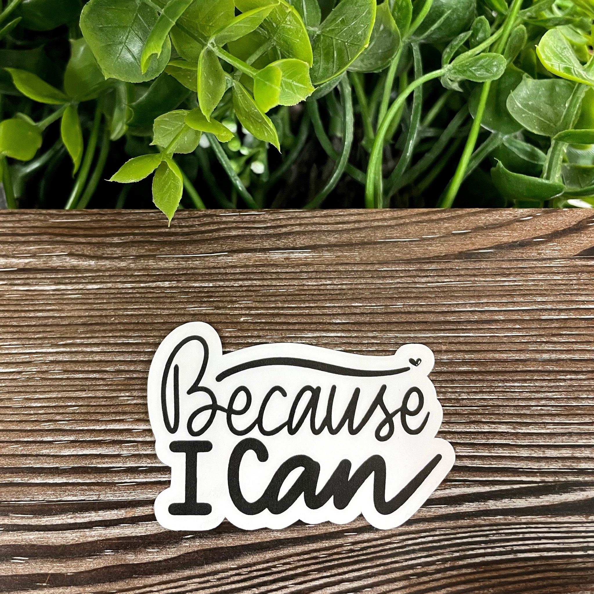 Because I Can Sticker |Sticker or Magnet
