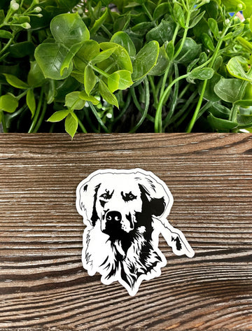 Golden Retriever Sticker |Sticker or Magnet