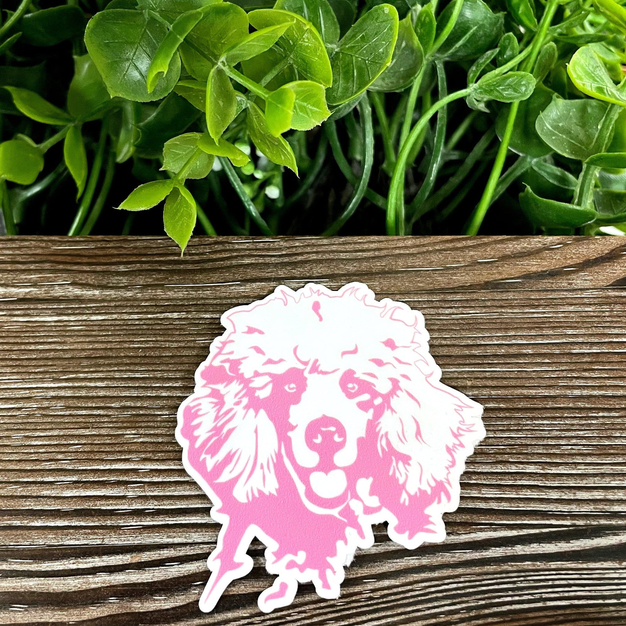 Pink Poodle Sticker |Sticker or Magnet
