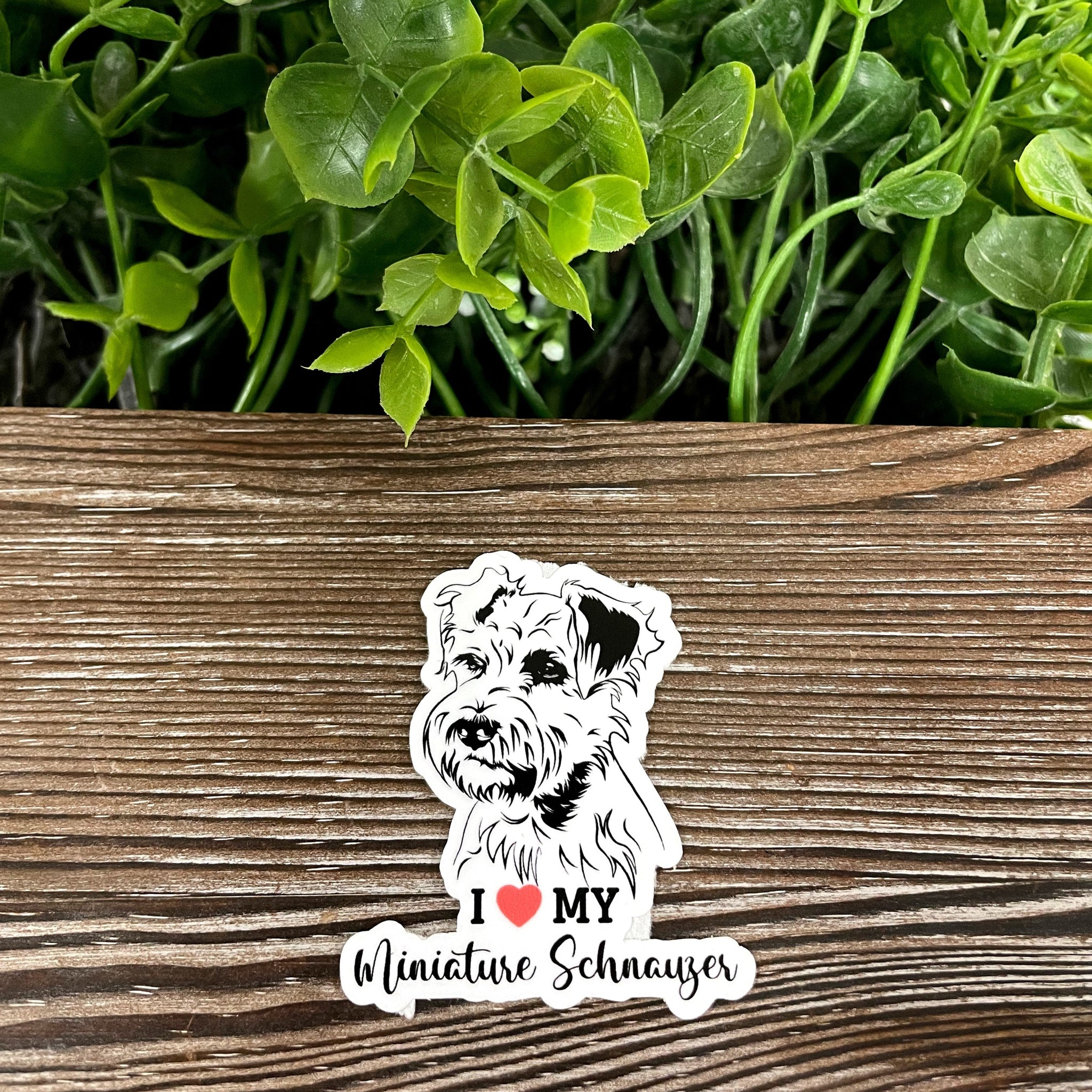 I Love my Miniature Schnauzer Sticker, Dog Breed |Sticker or Magnet