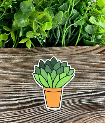 Plants in a Pot, Die Cut Vinyl Sticker, Boho Fun, Water Resistant,