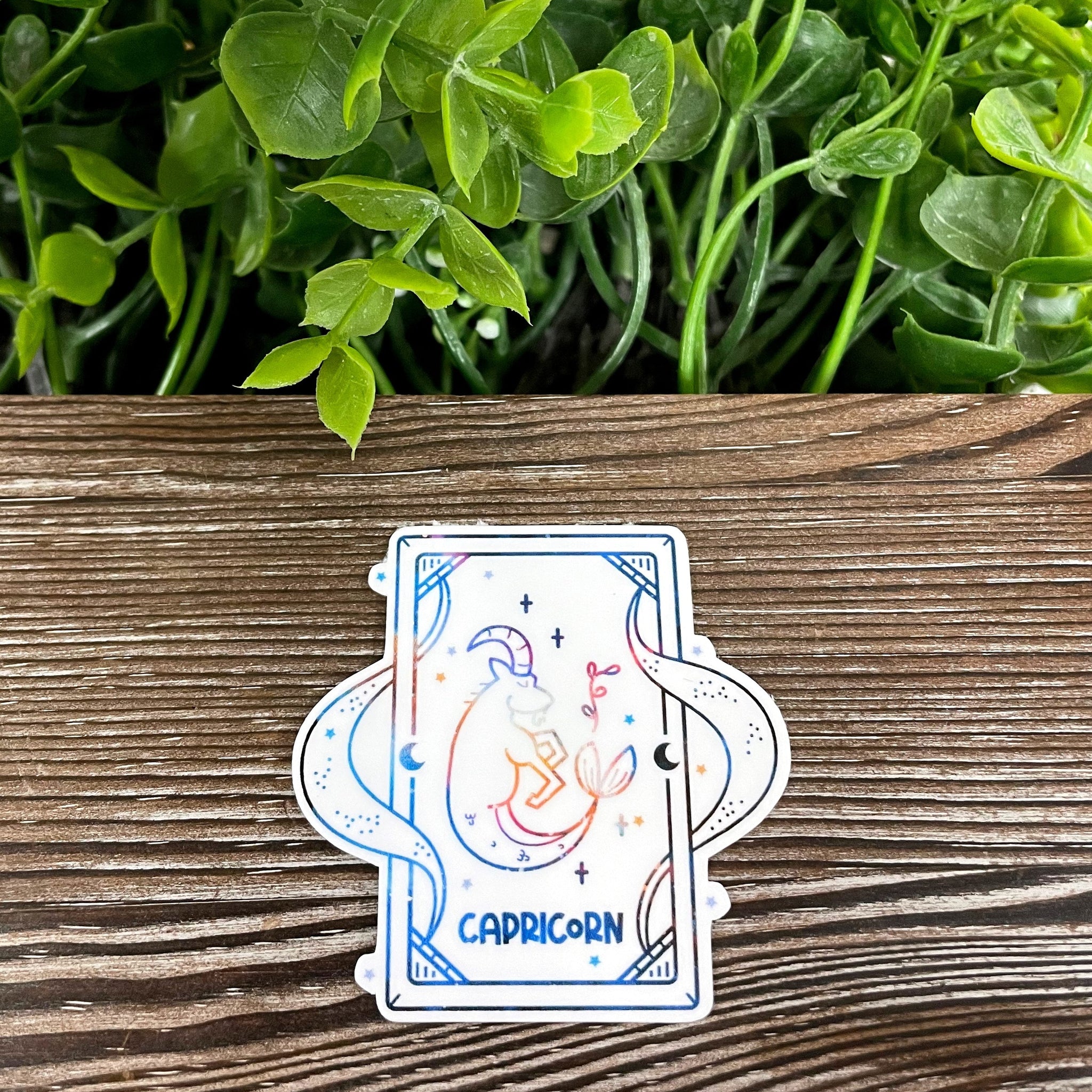 Capricorn Zodiac Tarot Card Sticker |Sticker or Magnet
