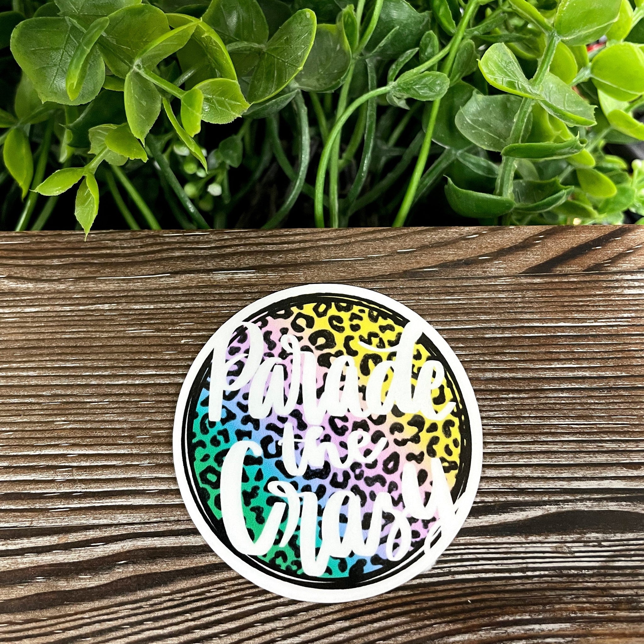 Parade the Crazy, Die Cut Vinyl Sticker, Boho Fun, Water Resistant,