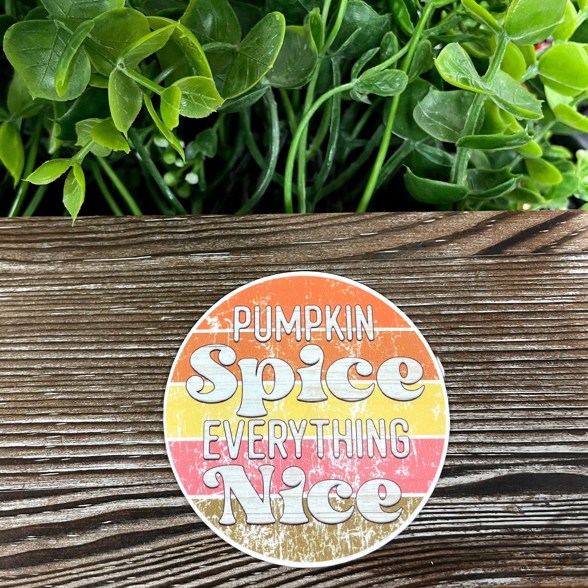 Pumpkin Spice Everything Nice, Die Cut Vinyl Sticker, Boho Fun, Water