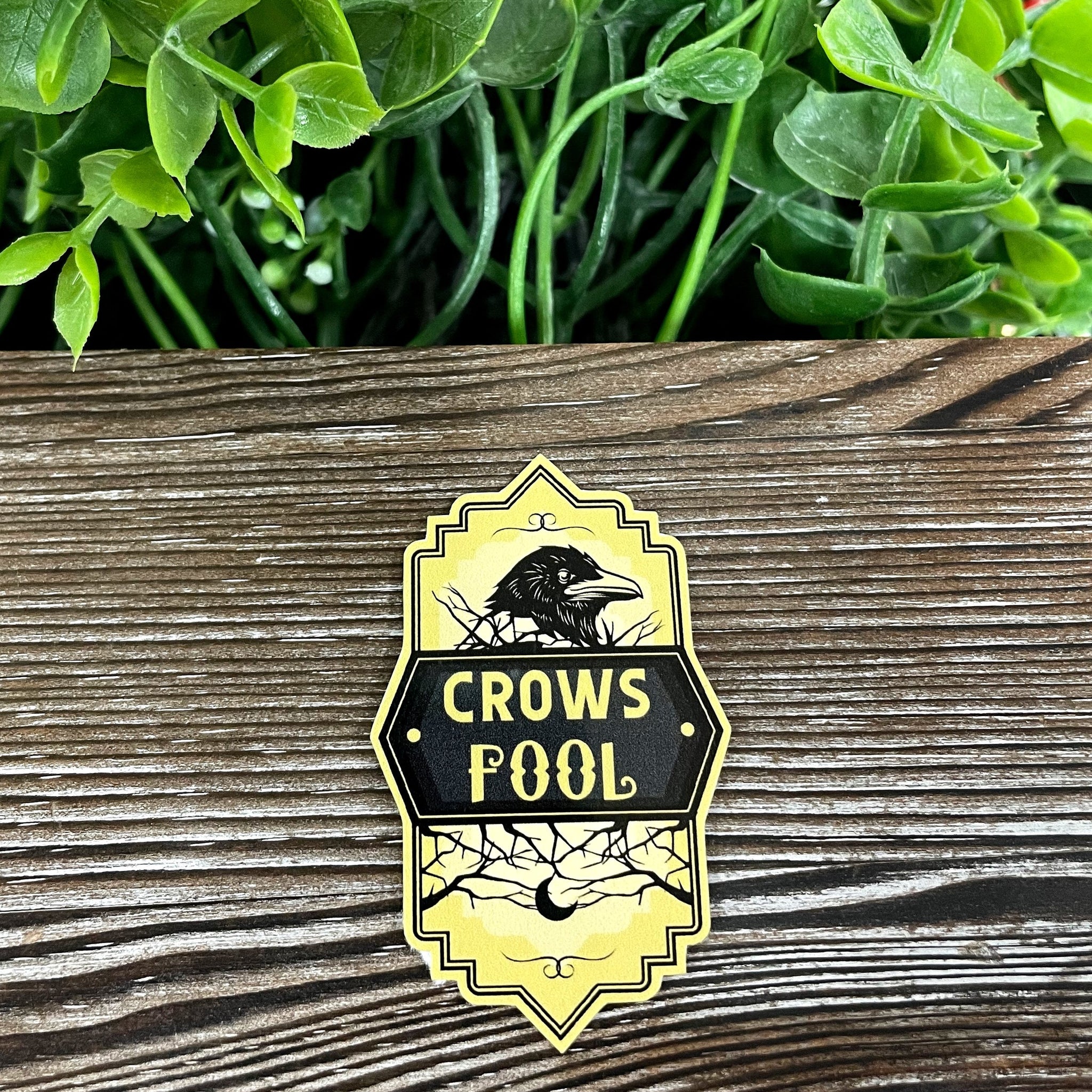 Crows Fool, Die Cut Vinyl Sticker, Boho Fun, Water Resistant,